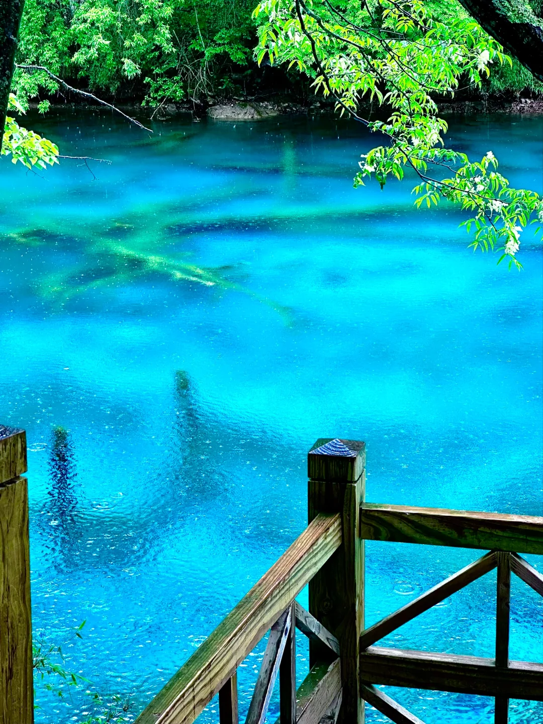 6.1实拍，下雨的九寨沟是星河。。。美到失语🥹