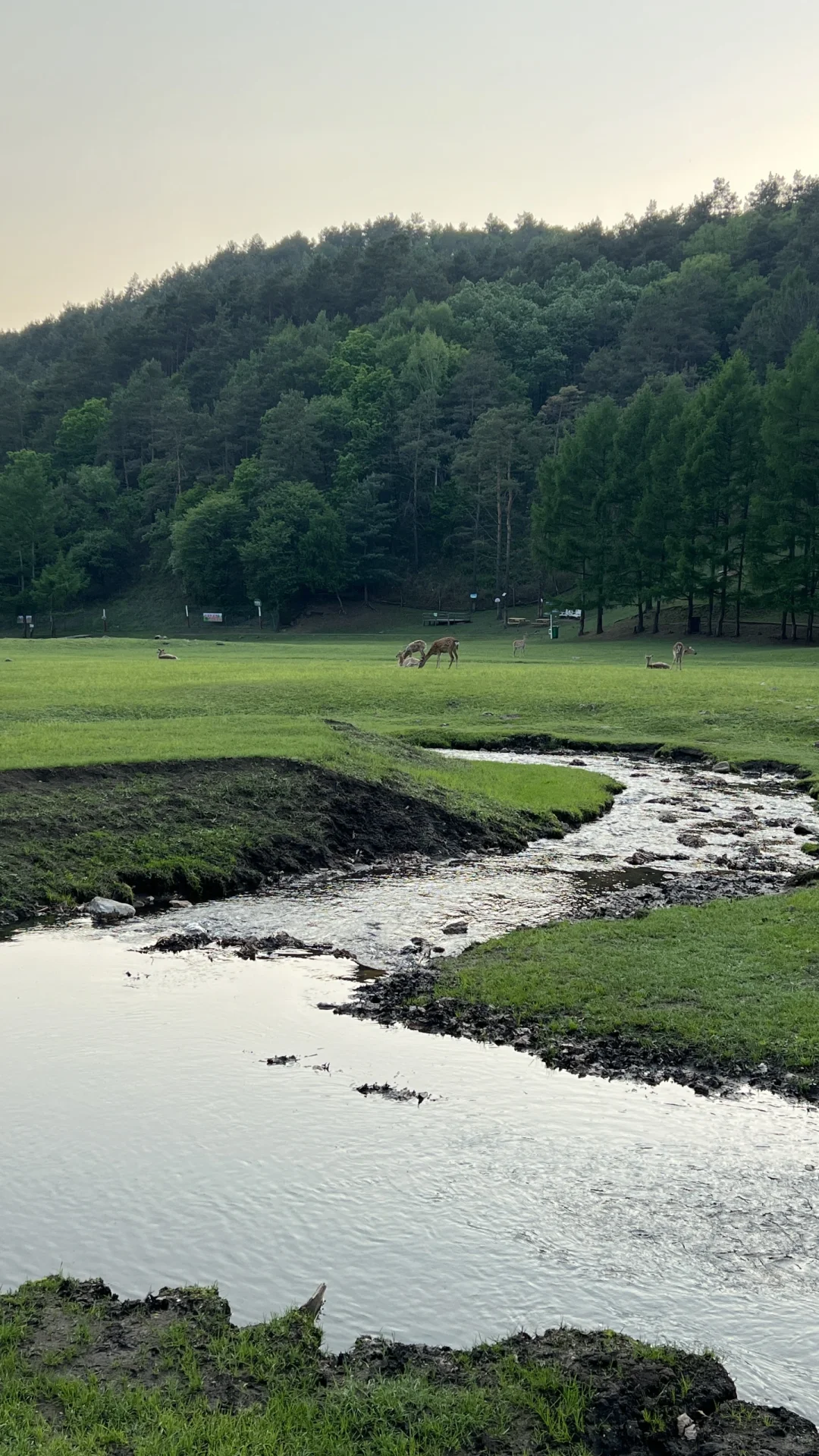 大学生伊春旅行3天2晚花费550元攻略来啦