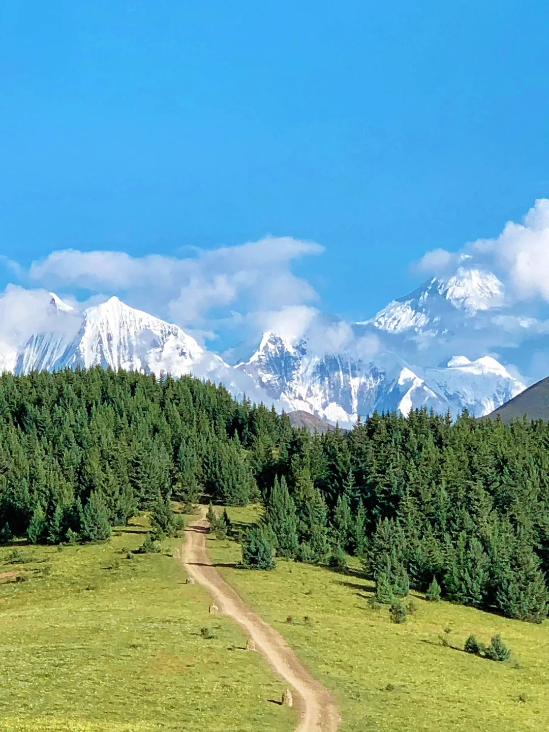 夏天的川西,已经美到next level了…