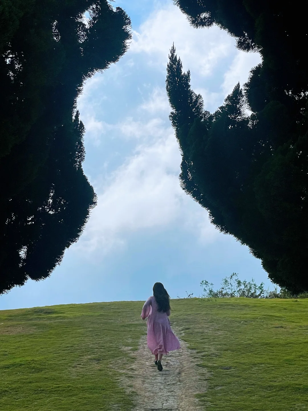 青岛-威海-烟台-大连丨9天自由行