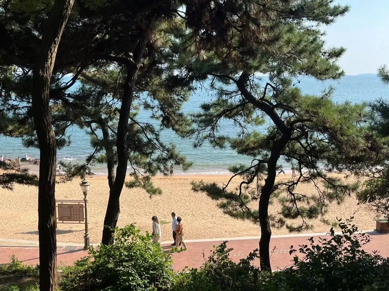 青岛确定不是旅游城市吗？