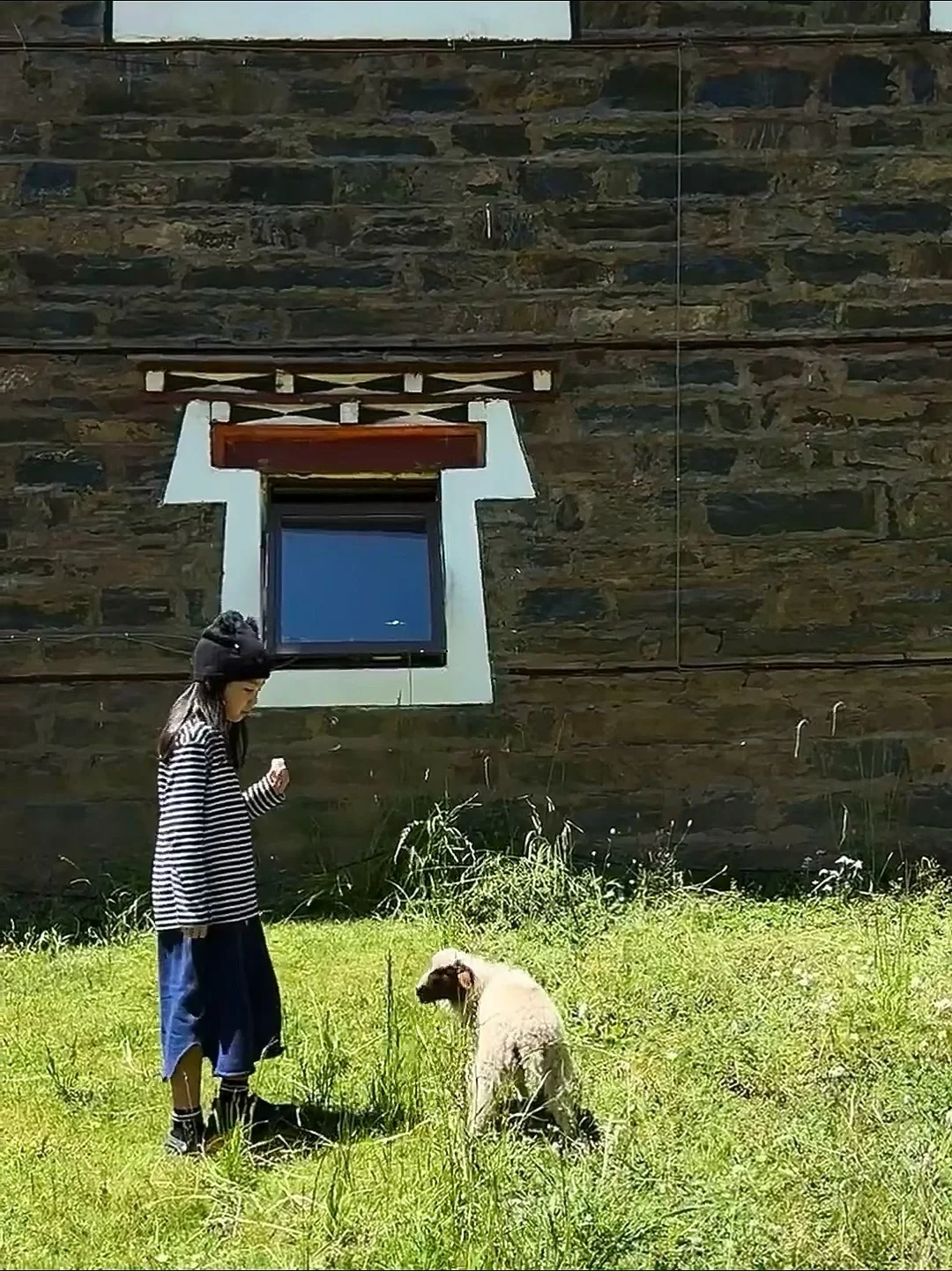 夏天的川西,已经美到next level了…