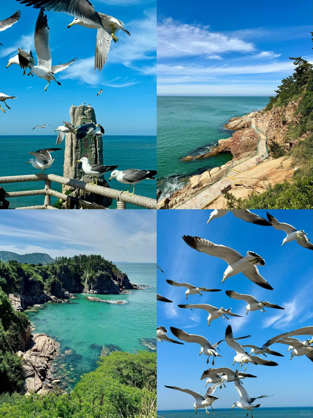 🌈威海|6-8月海边撒野！北纬37°清凉滨海之旅