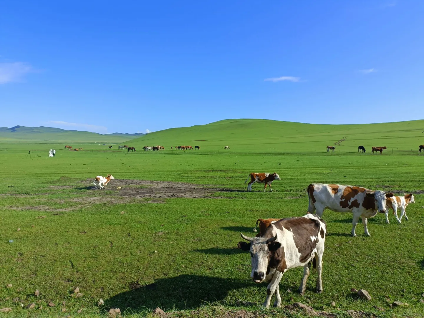 2025年,22000字的呼伦贝尔自驾游攻略!