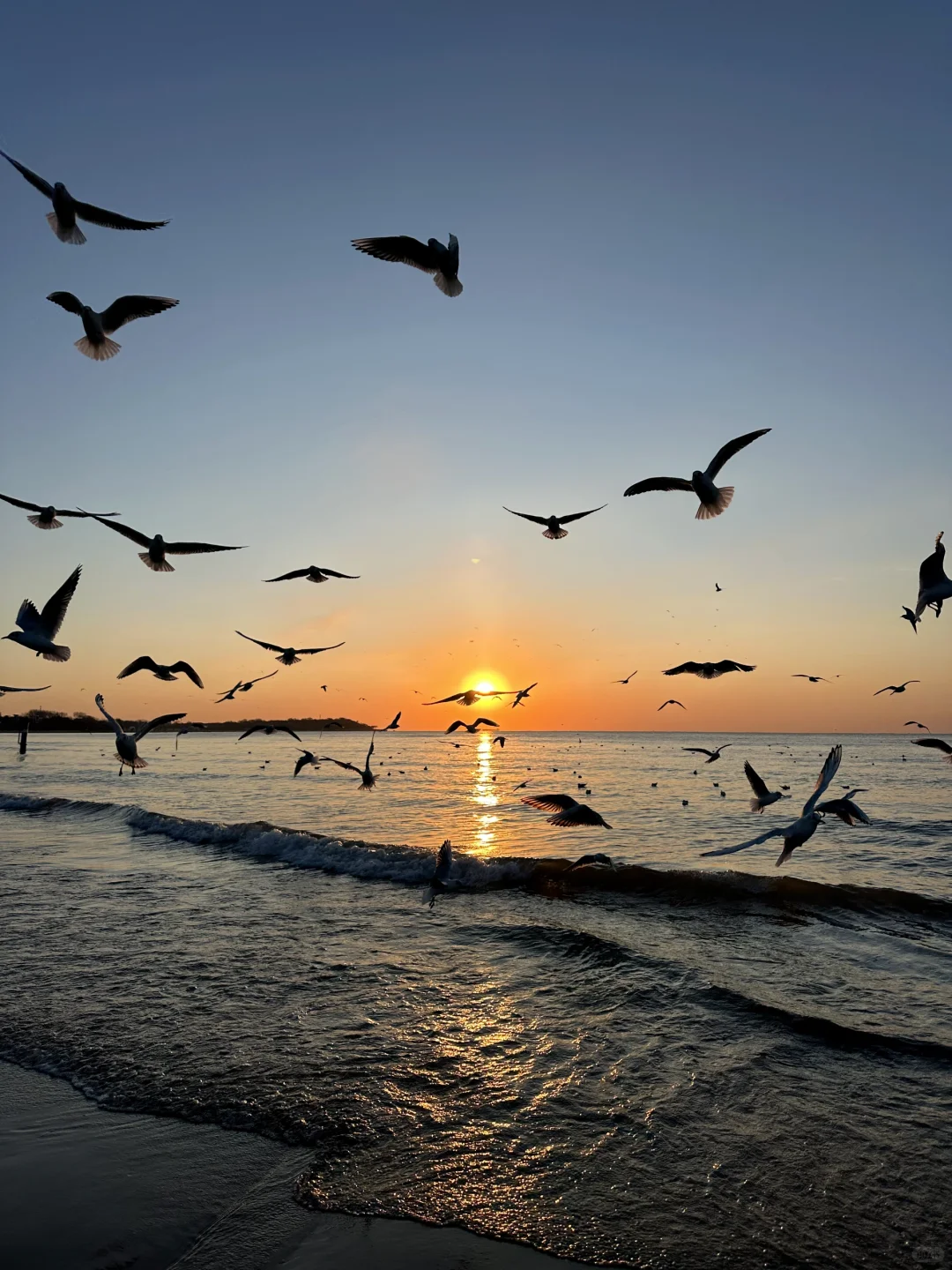 刚从北戴河回来，后劲真的太大了😭