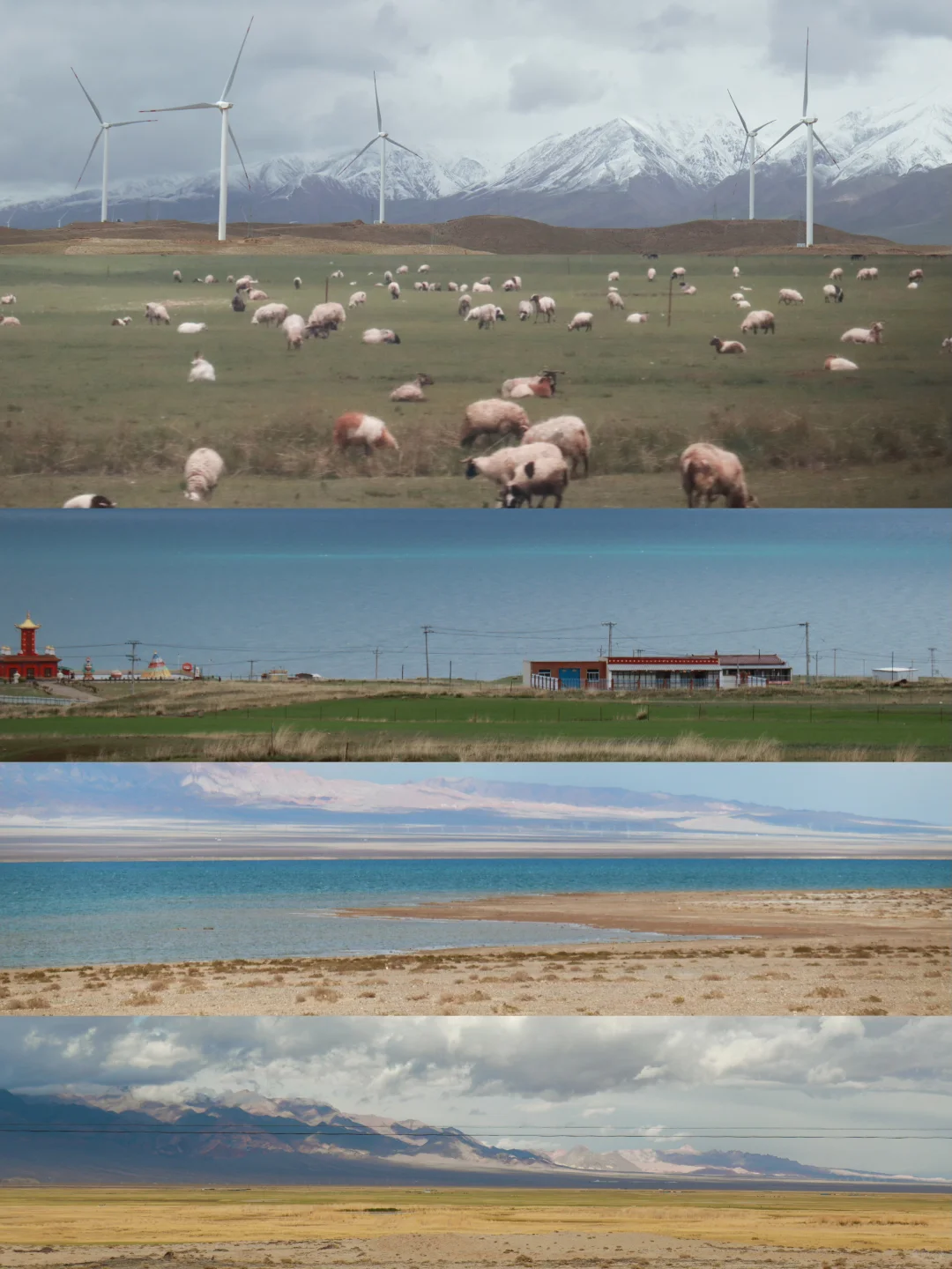 迷茫的年轻人确实把旅行捧得太高了
