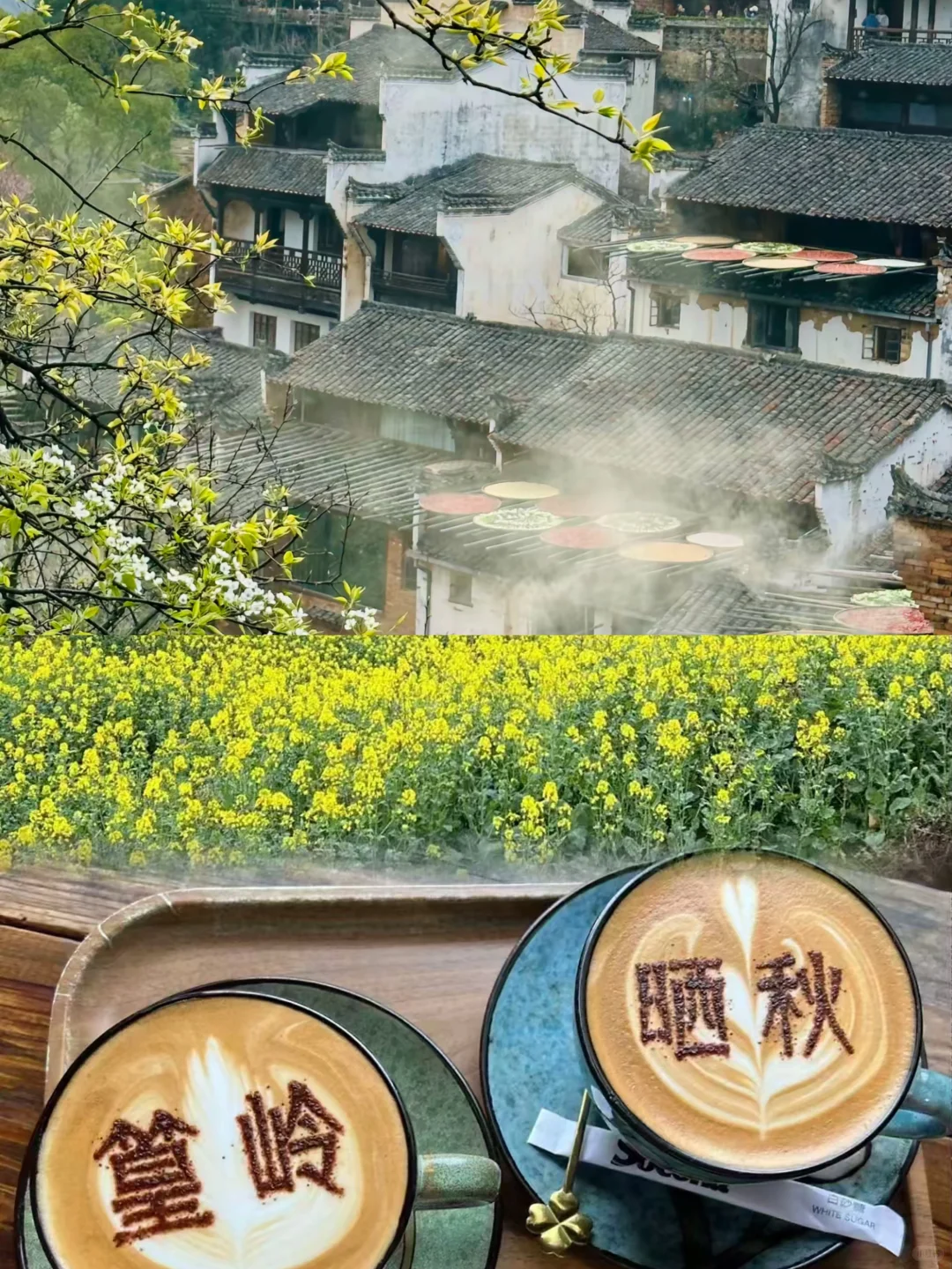 04女大📍 婺源+景德镇+南昌｜保姆级详细攻略