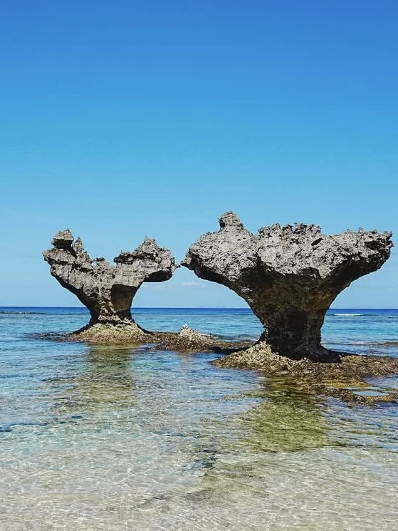 冲绳真的是我的人生海岛💓