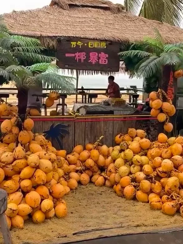 听劝❗️❗️3~5🈷️来万宁的姐妹请🐎住(巨全)