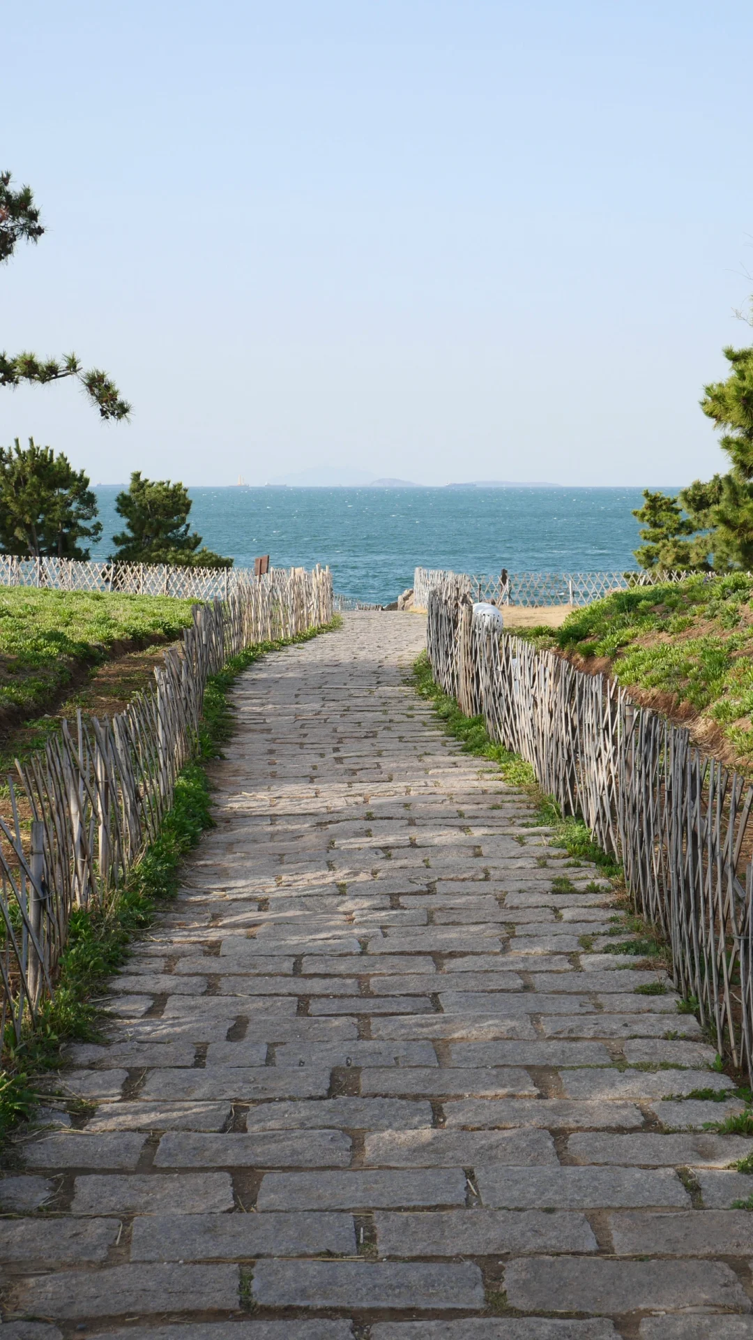 青岛威海烟台大连丨11天10夜一人行旅游攻略