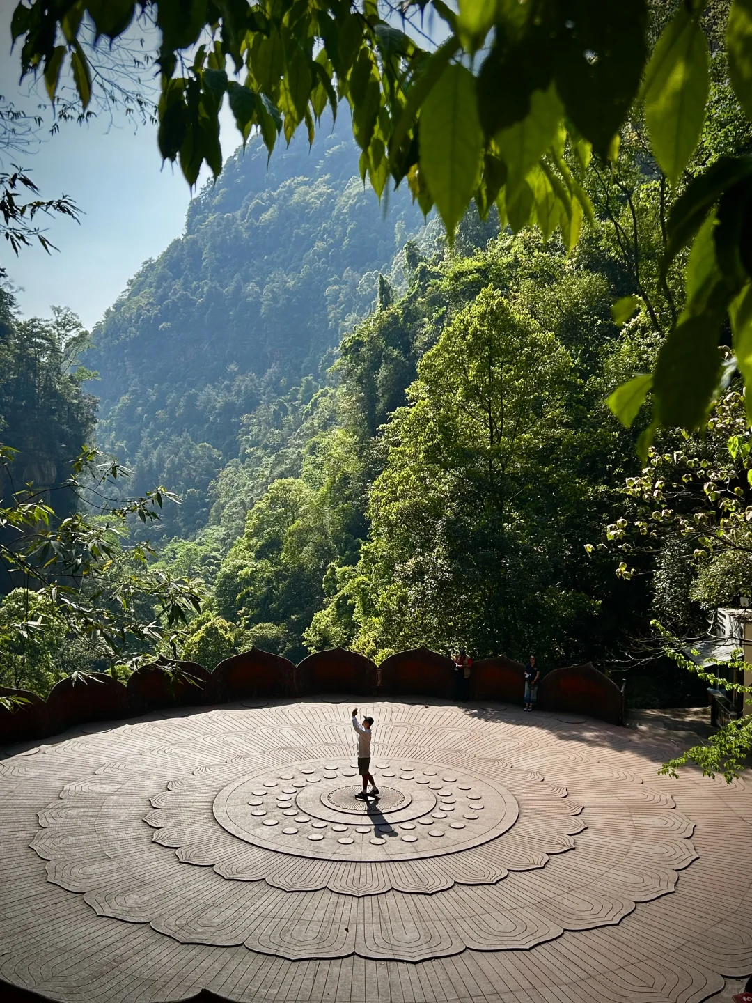 对我的赤水旅游攻略简直满意到睡不着❗️❗