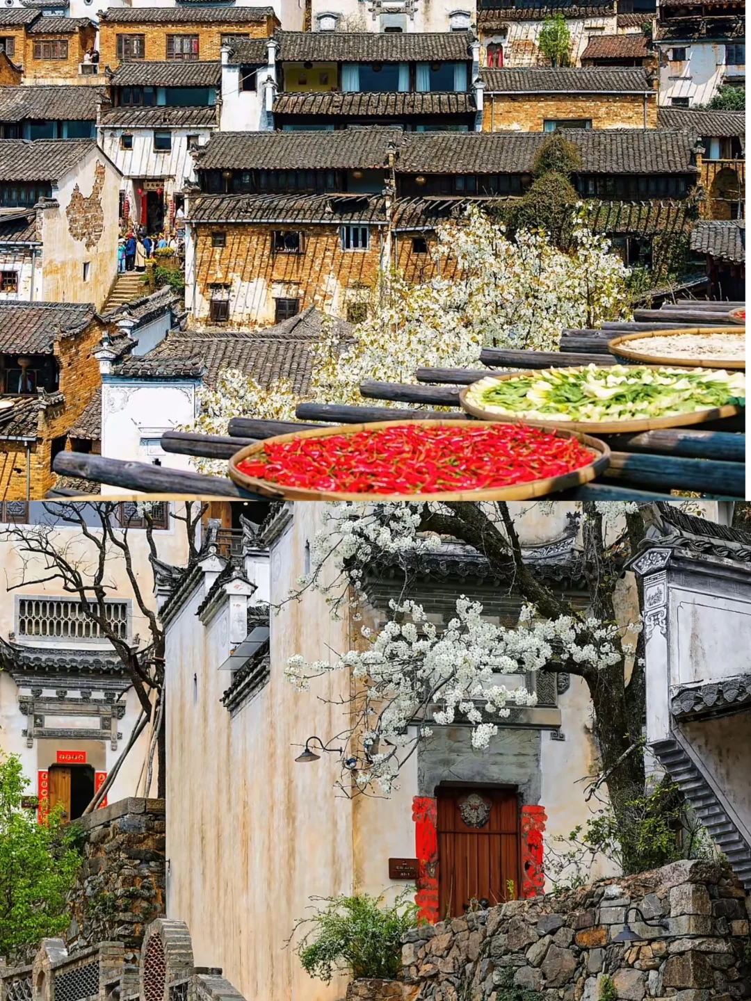 04女大📍 婺源+景德镇+南昌｜保姆级详细攻略