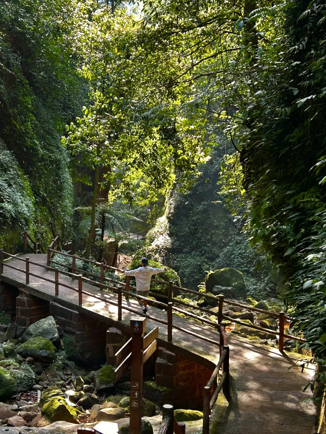 对我的赤水旅游攻略简直满意到睡不着❗️❗