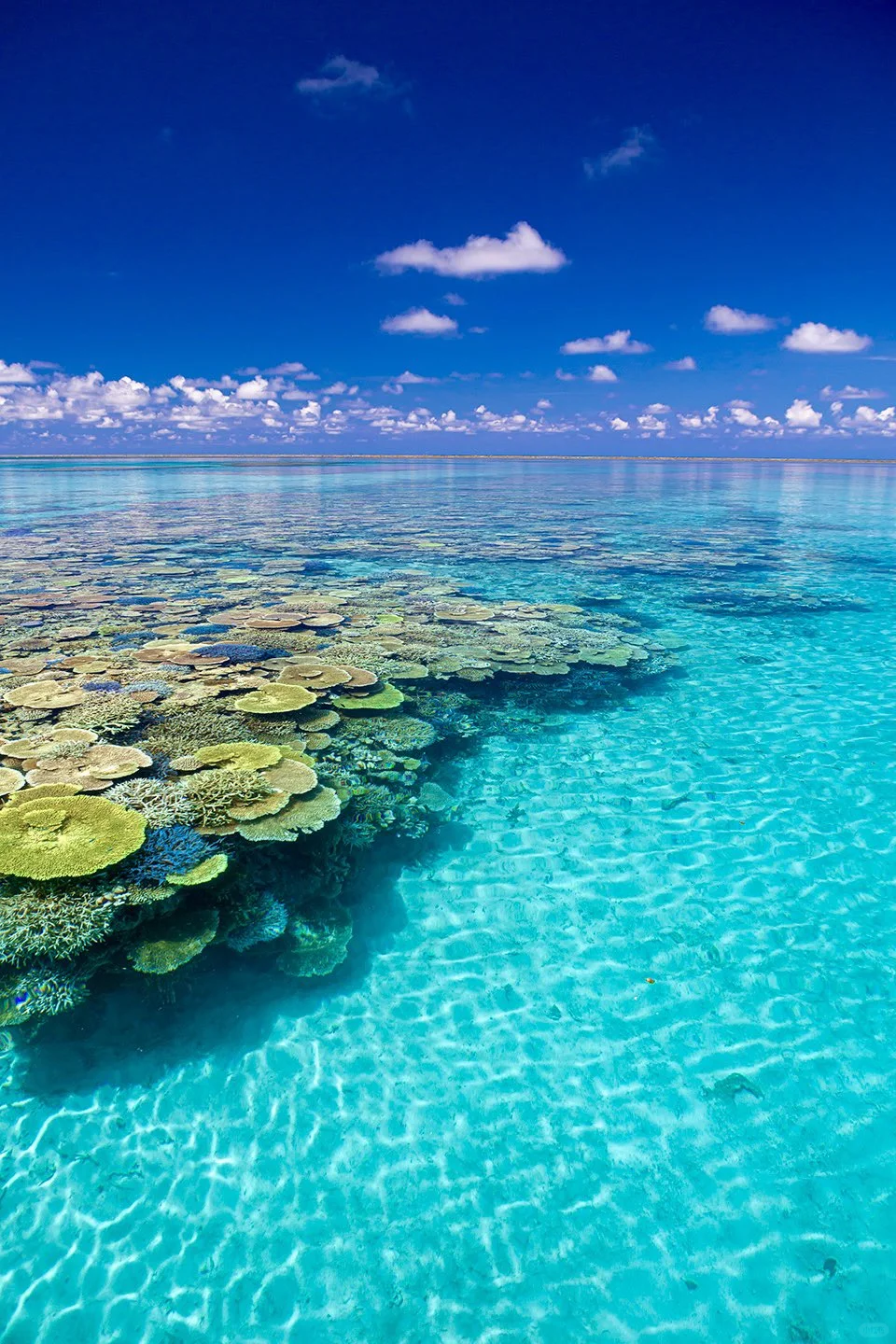 冲绳真的是我的人生海岛💓