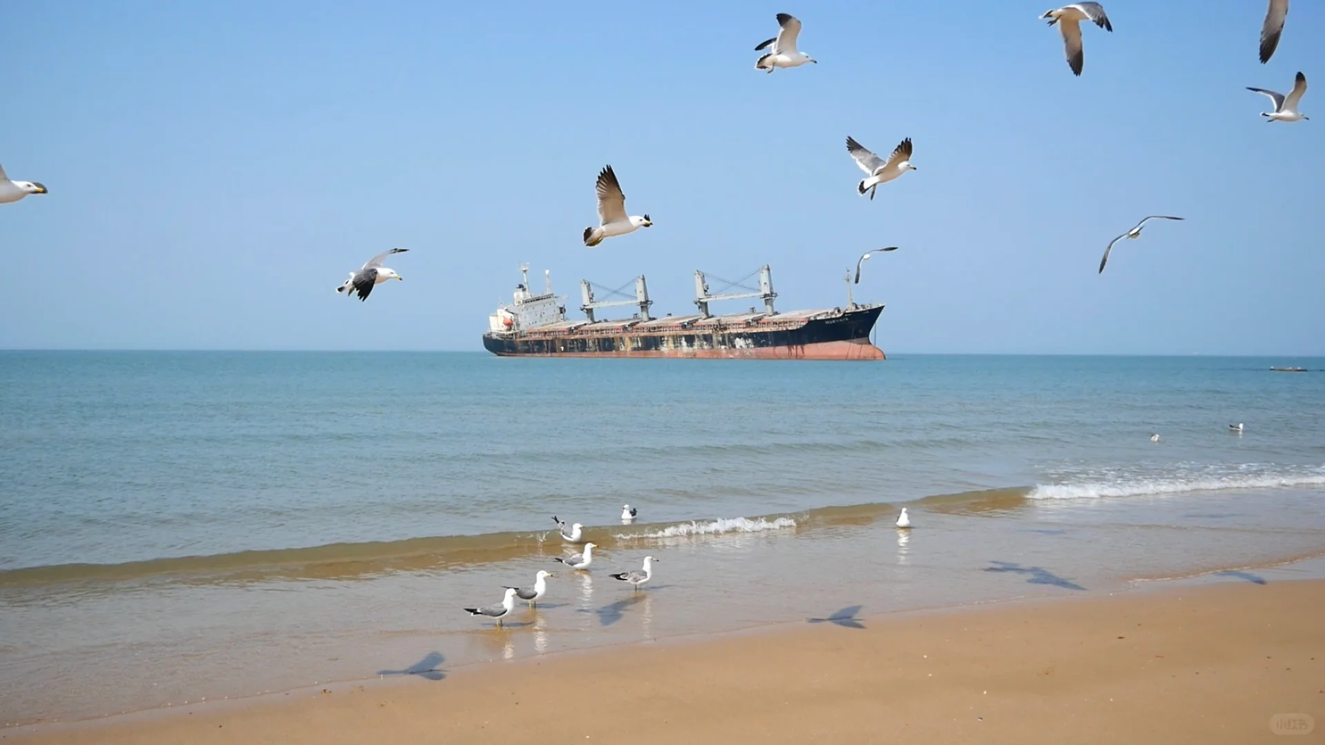 青岛威海烟台大连丨11天10夜一人行旅游攻略