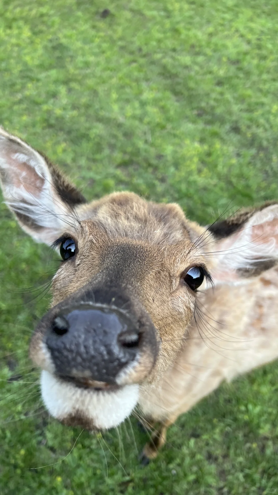 大学生伊春旅行3天2晚花费550元攻略来啦