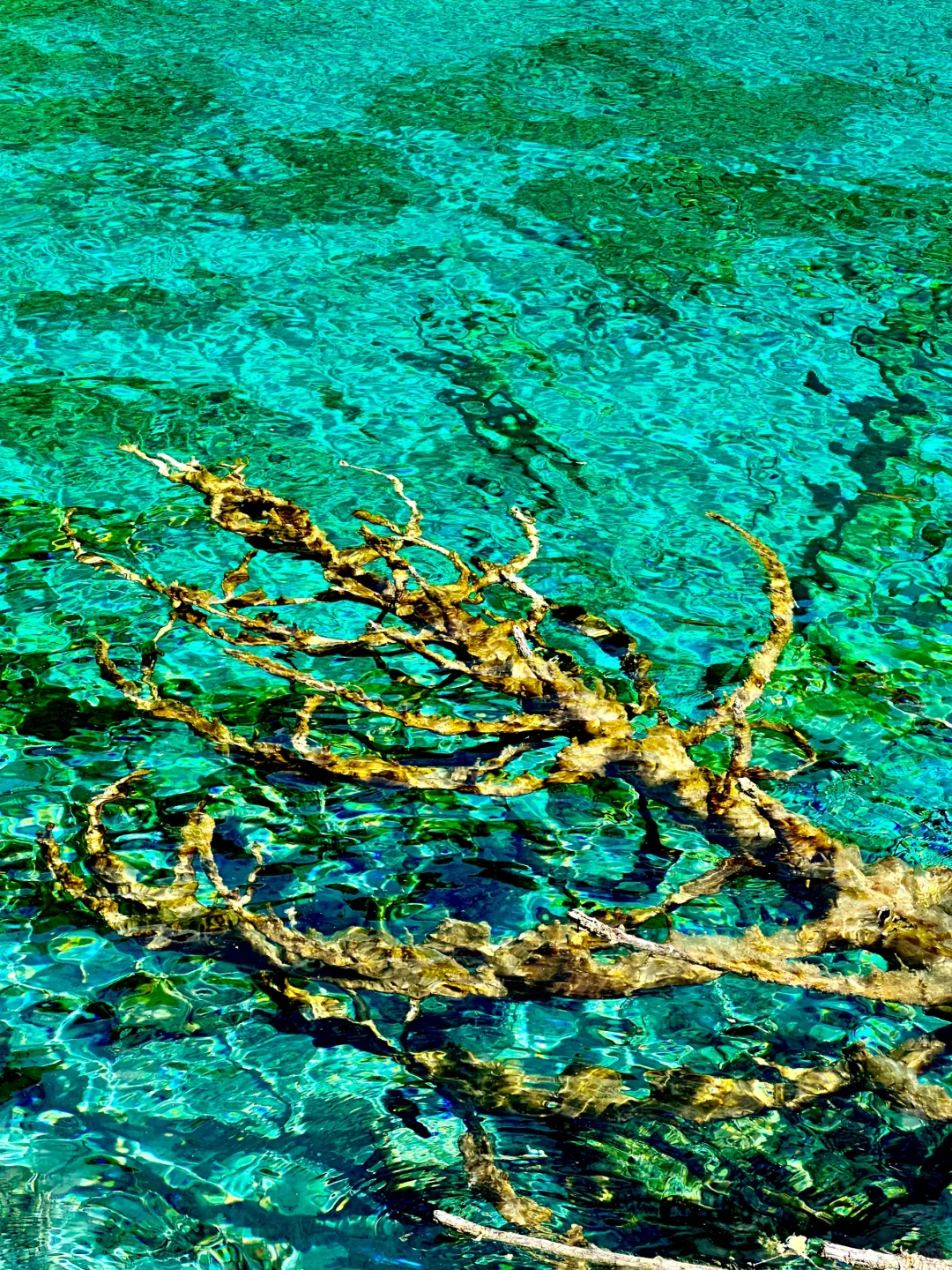 国内自然景观top5（仅限大陆地区）