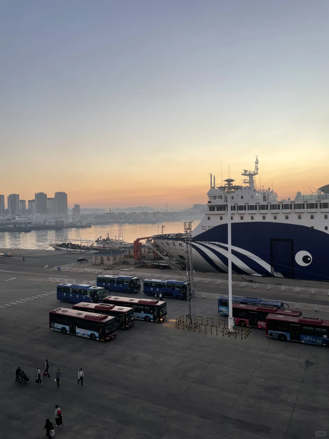 青岛-威海-烟台-大连丨9天自由行