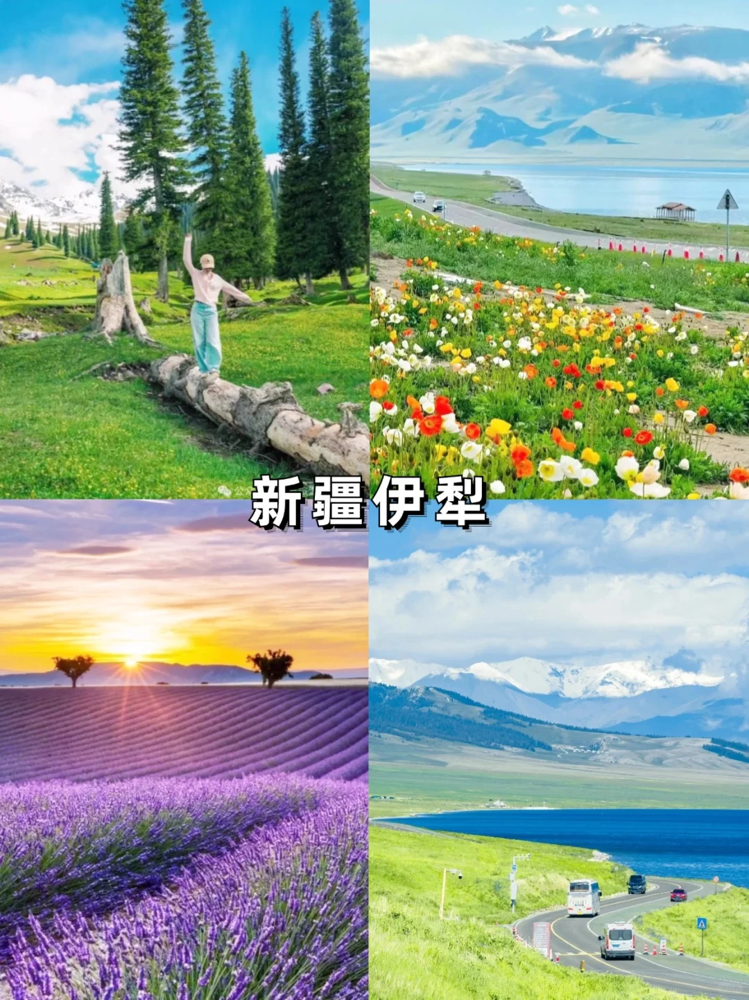 国内6-8月避暑的好去处｜暑假16个热门旅游