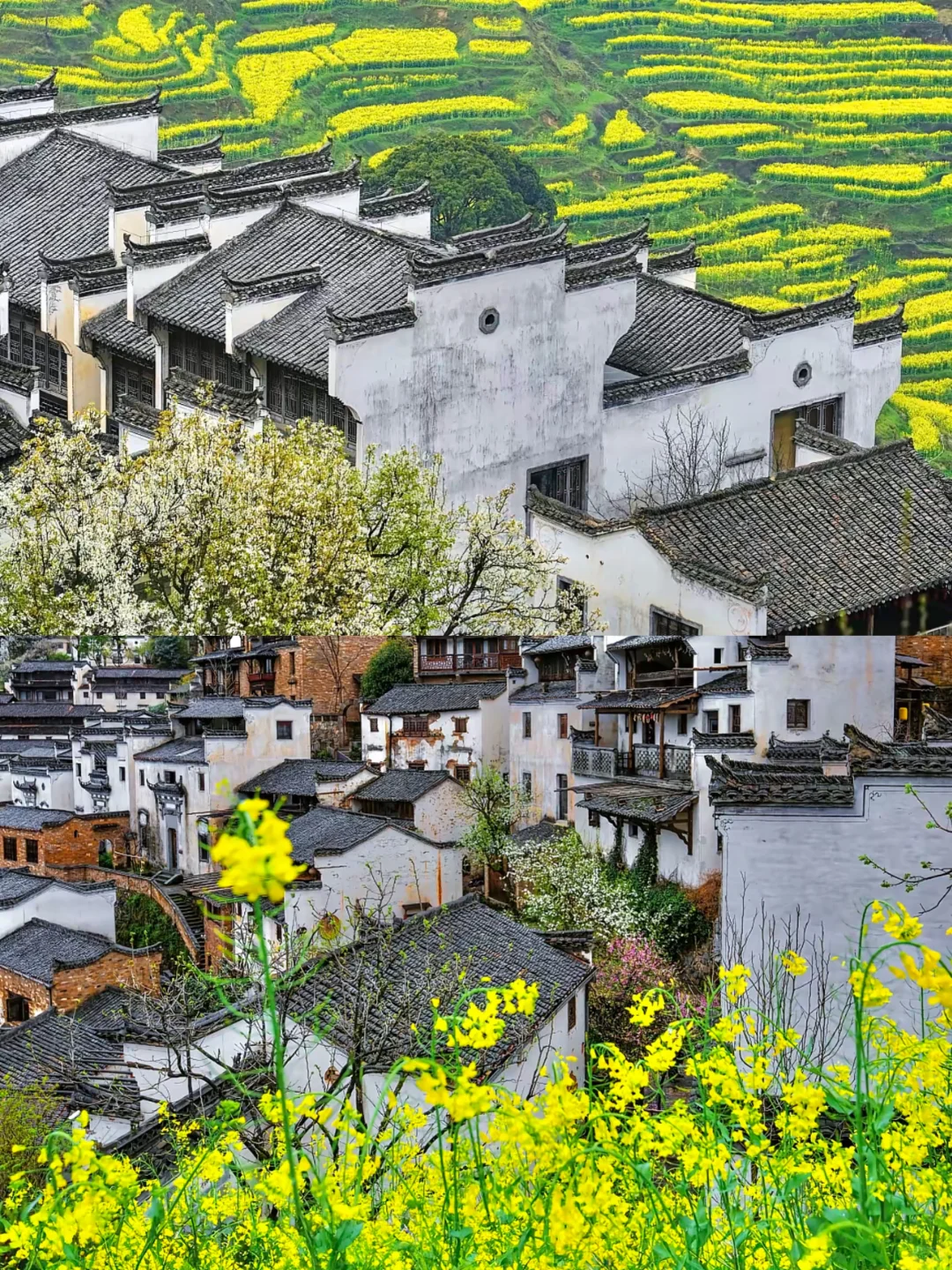 04女大📍 婺源+景德镇+南昌｜保姆级详细攻略