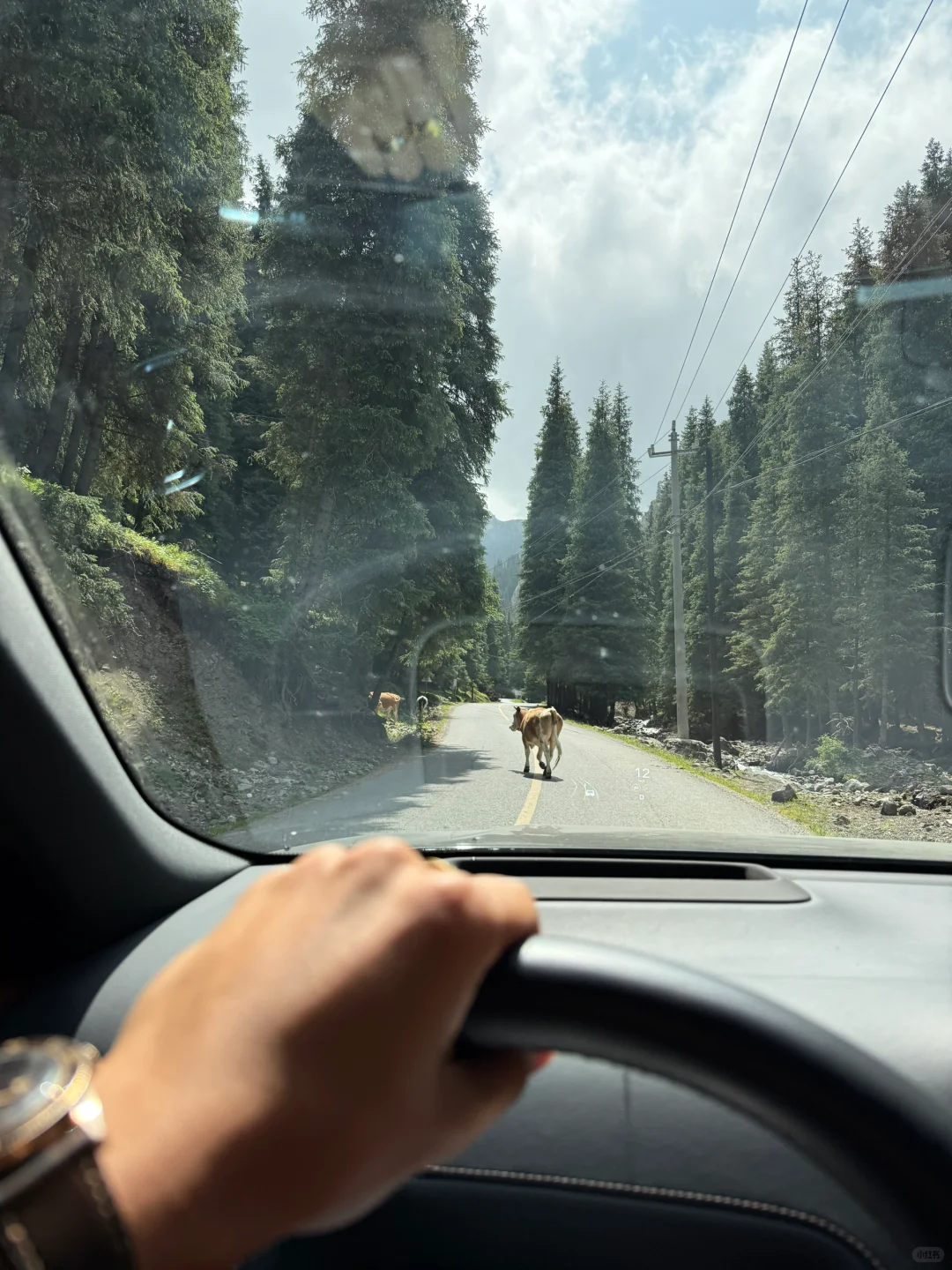 乌鲁木齐周边竟隐藏着这么美的瀑布，不堵车！