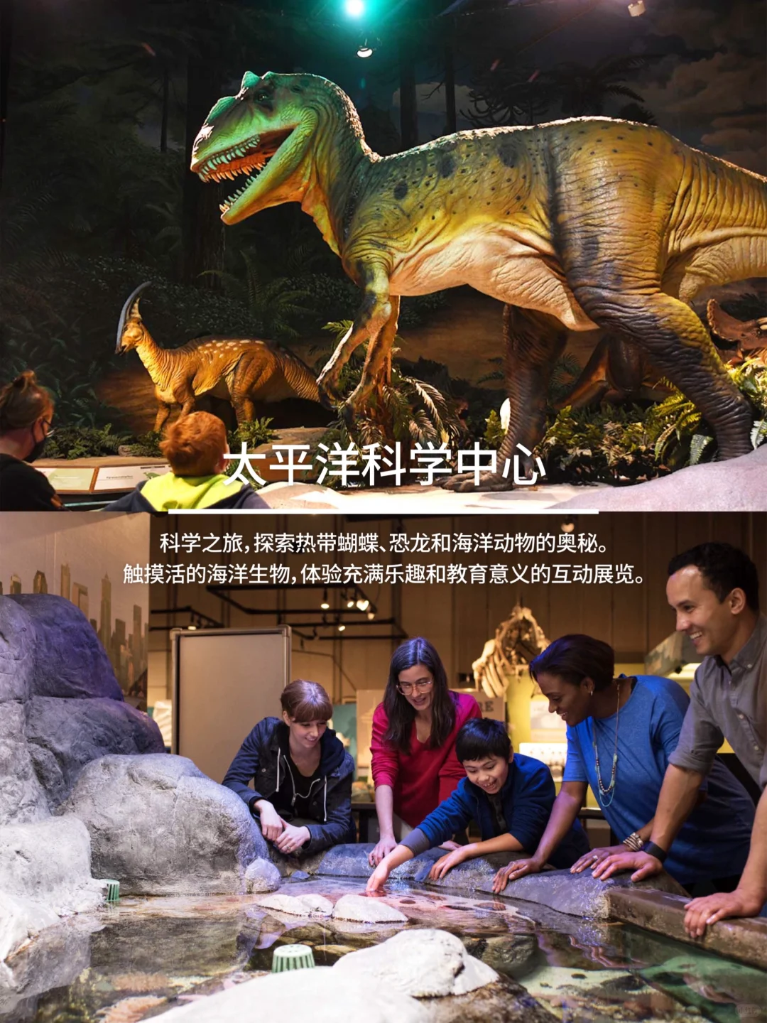 西雅图必玩合集CityPASS帮你省下大笔门票💰