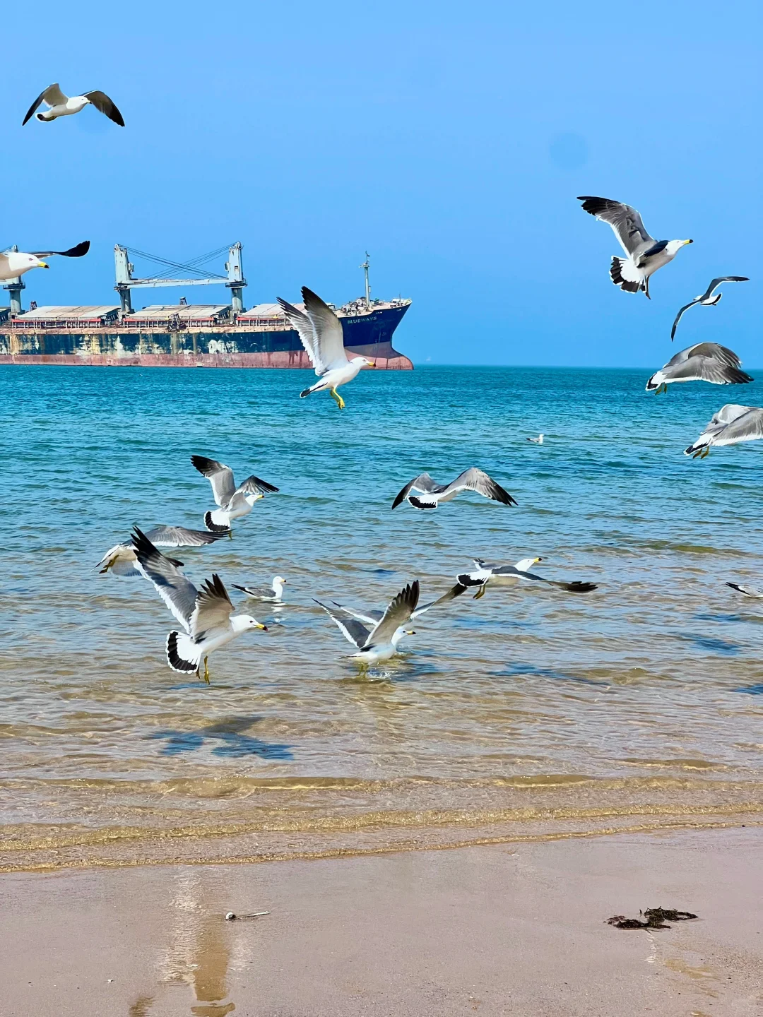 6月旅行✈️，威海真的太治愈了🌊3天2晚攻略