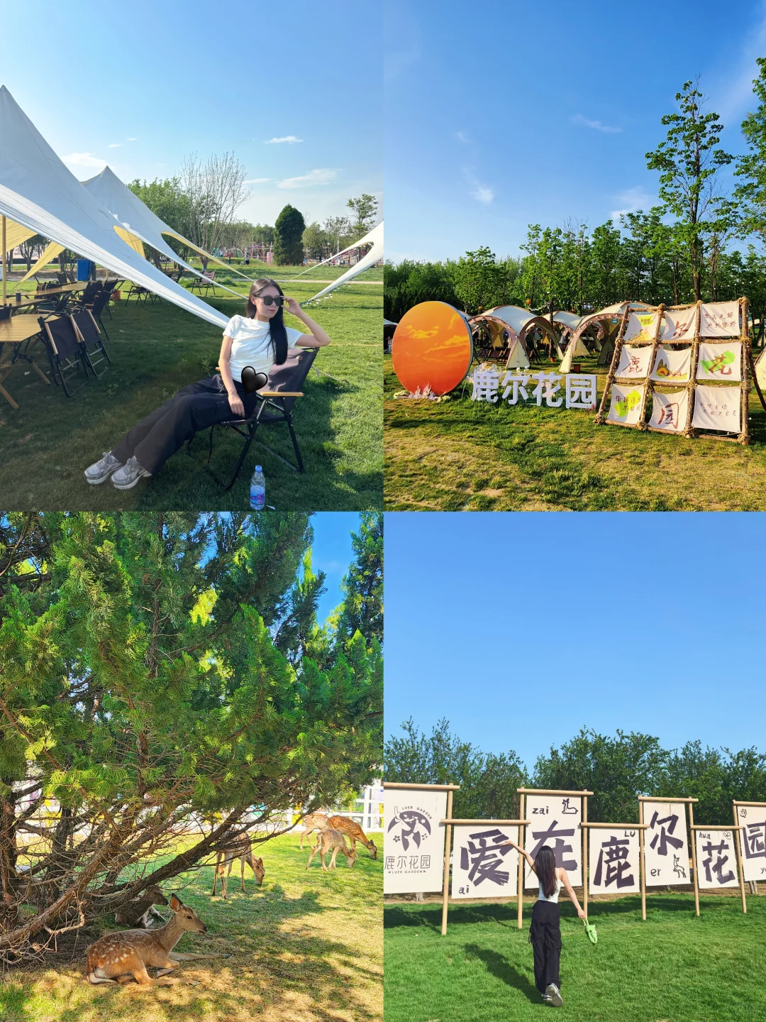 邯郸，游玩圣地——鹿尔花园