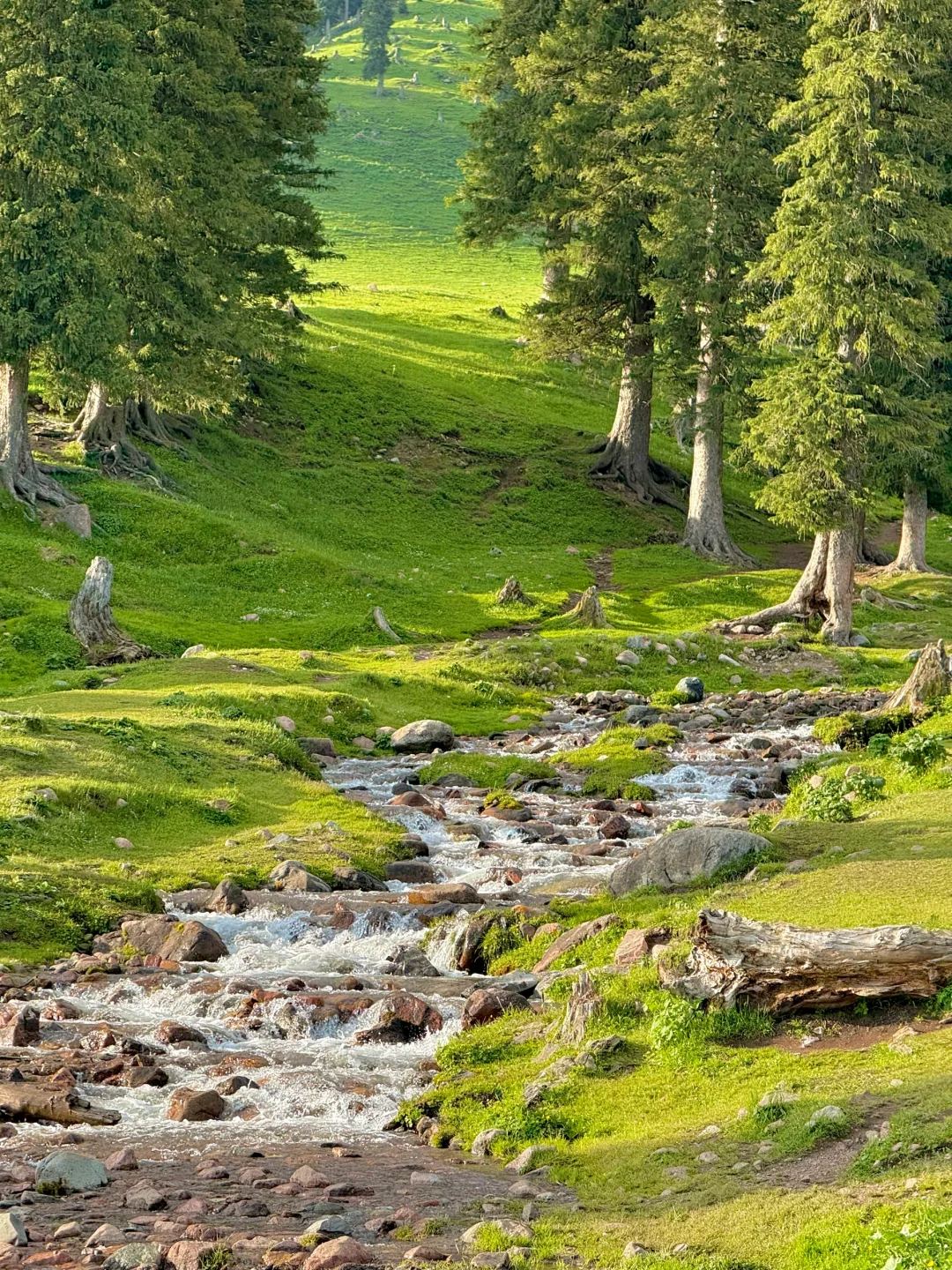 听劝!晚上8点之后再进那拉提景区..