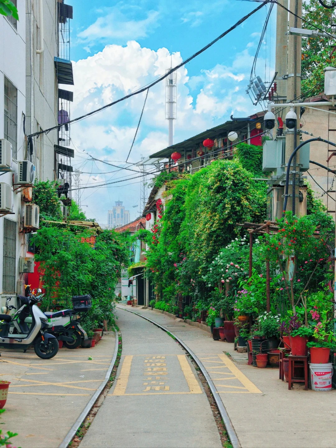 来武汉！逛完东湖记得留一天时间给汉阳！