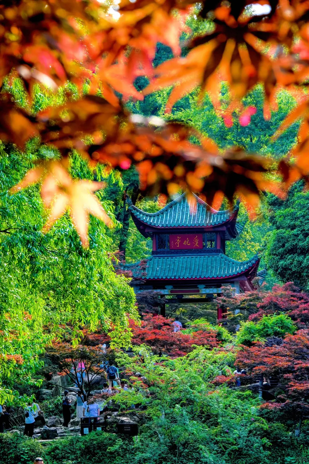 岳麓山下，长沙城里，尽显人间烟火气