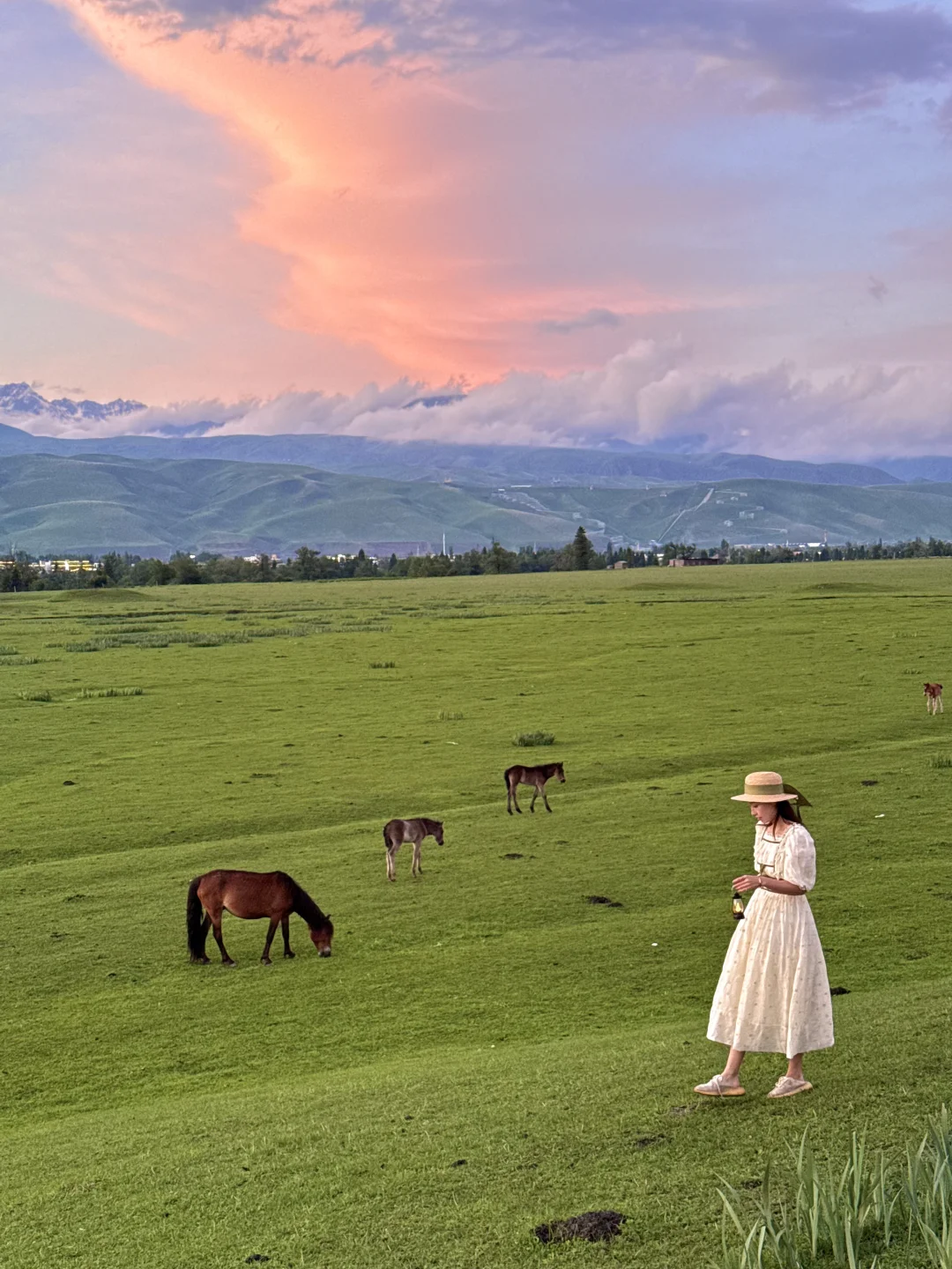 人生live🌲！这是我梦里的那片草原～