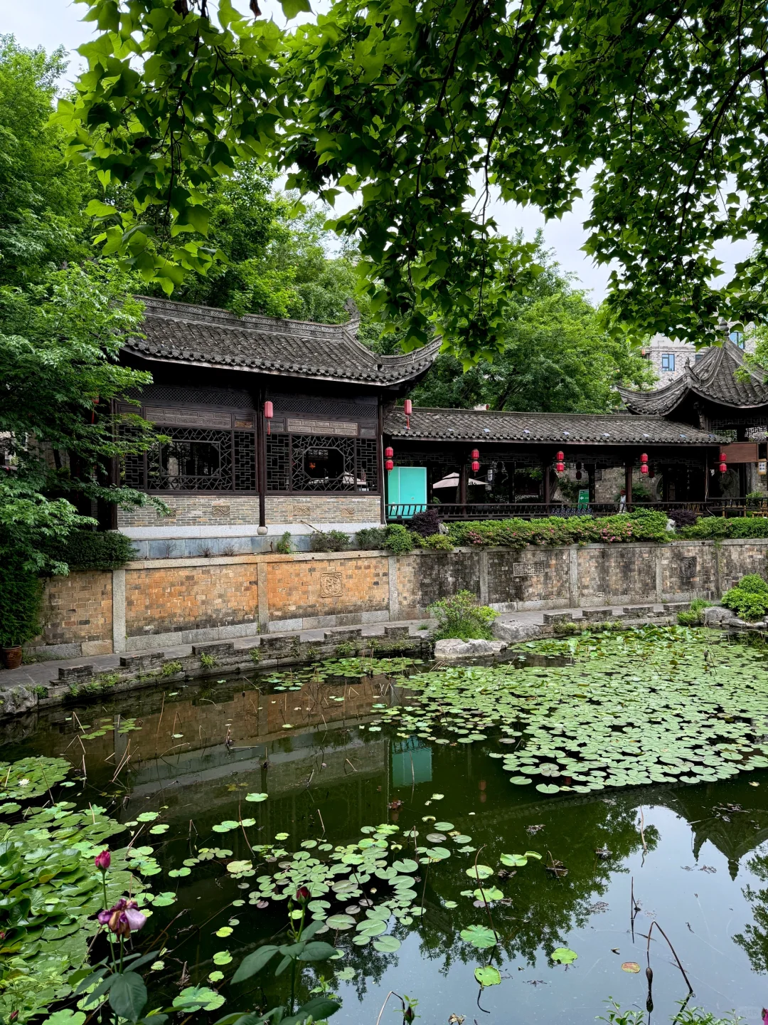 以为苏杭已经很美了，直到我去了这个小镇！！！