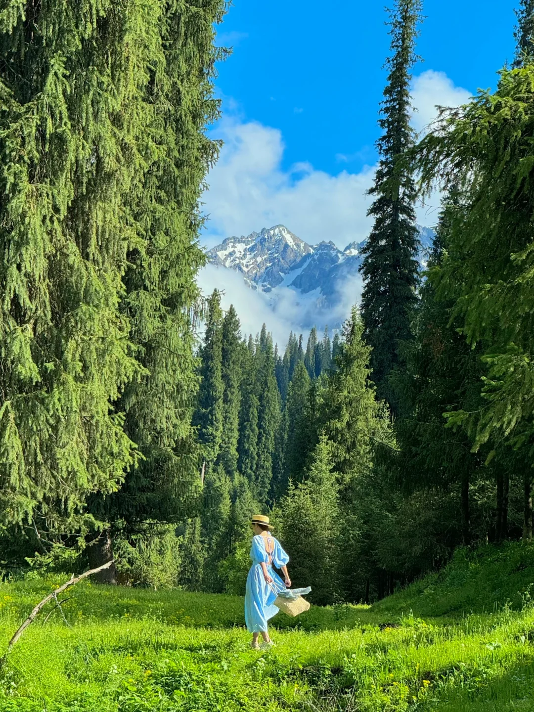 人生live🌲！这是我梦里的那片草原～
