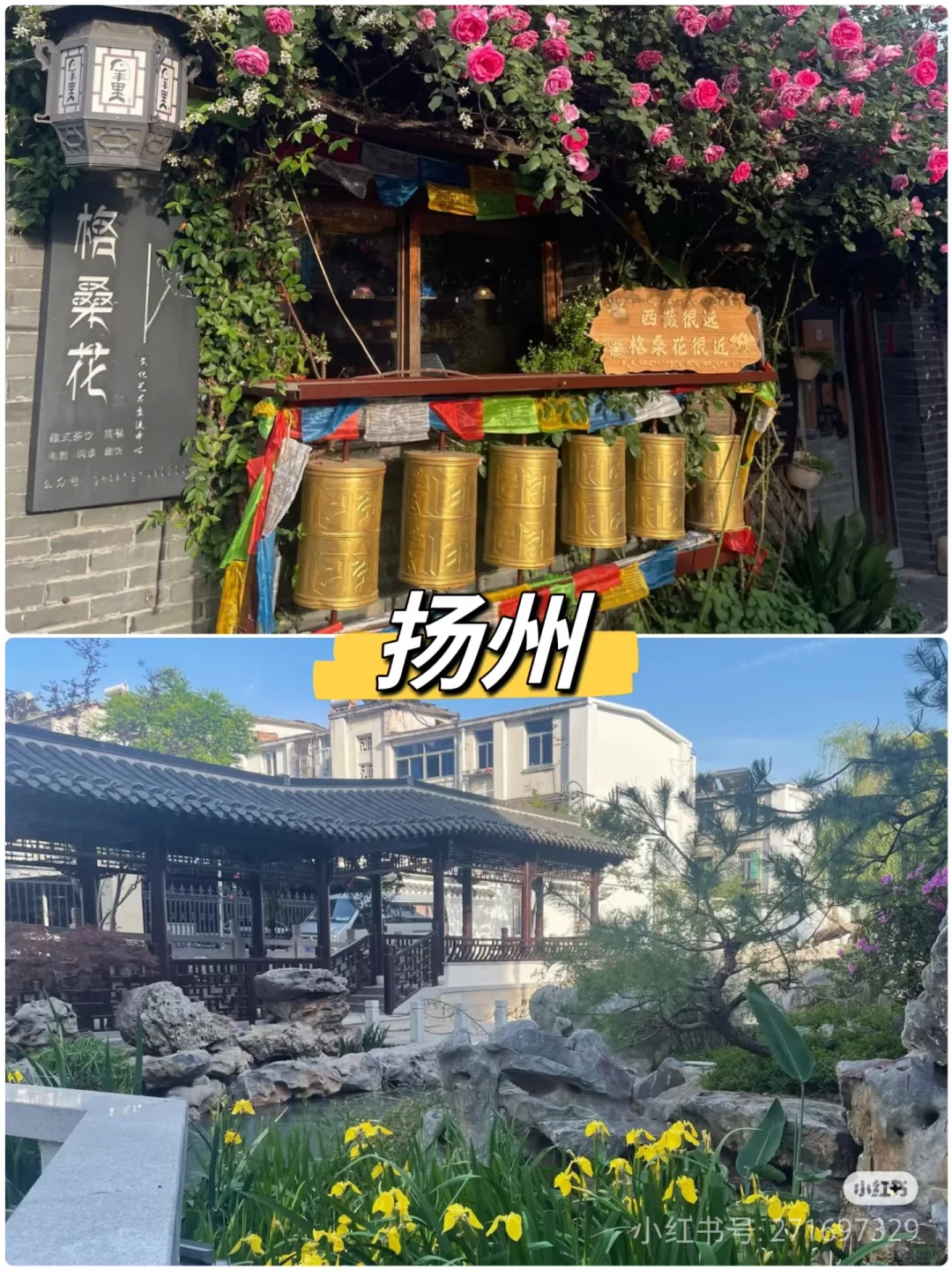 值得6月份旅游的景点