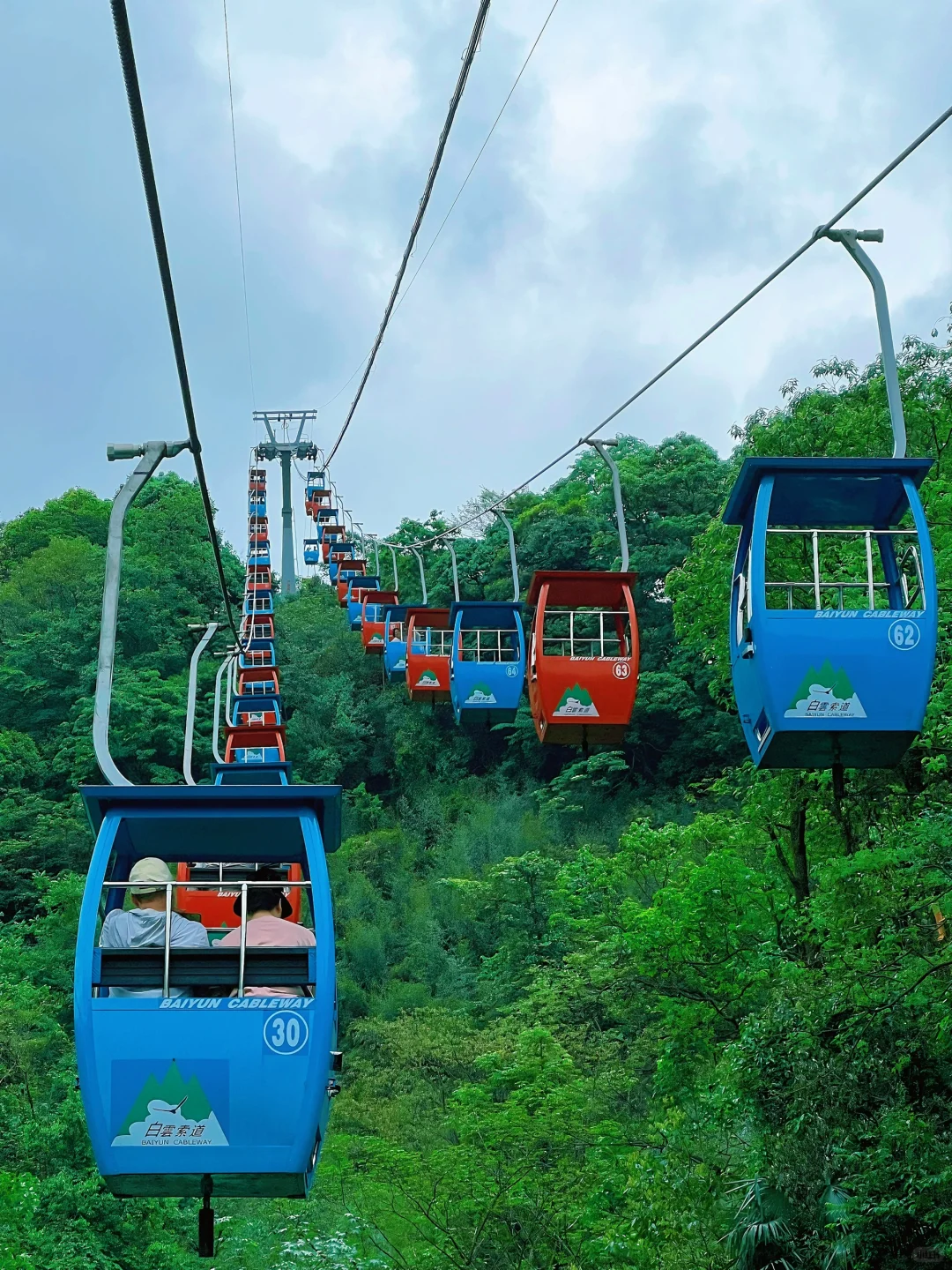 这儿真的太适合逃离了！森林氧吧🌳