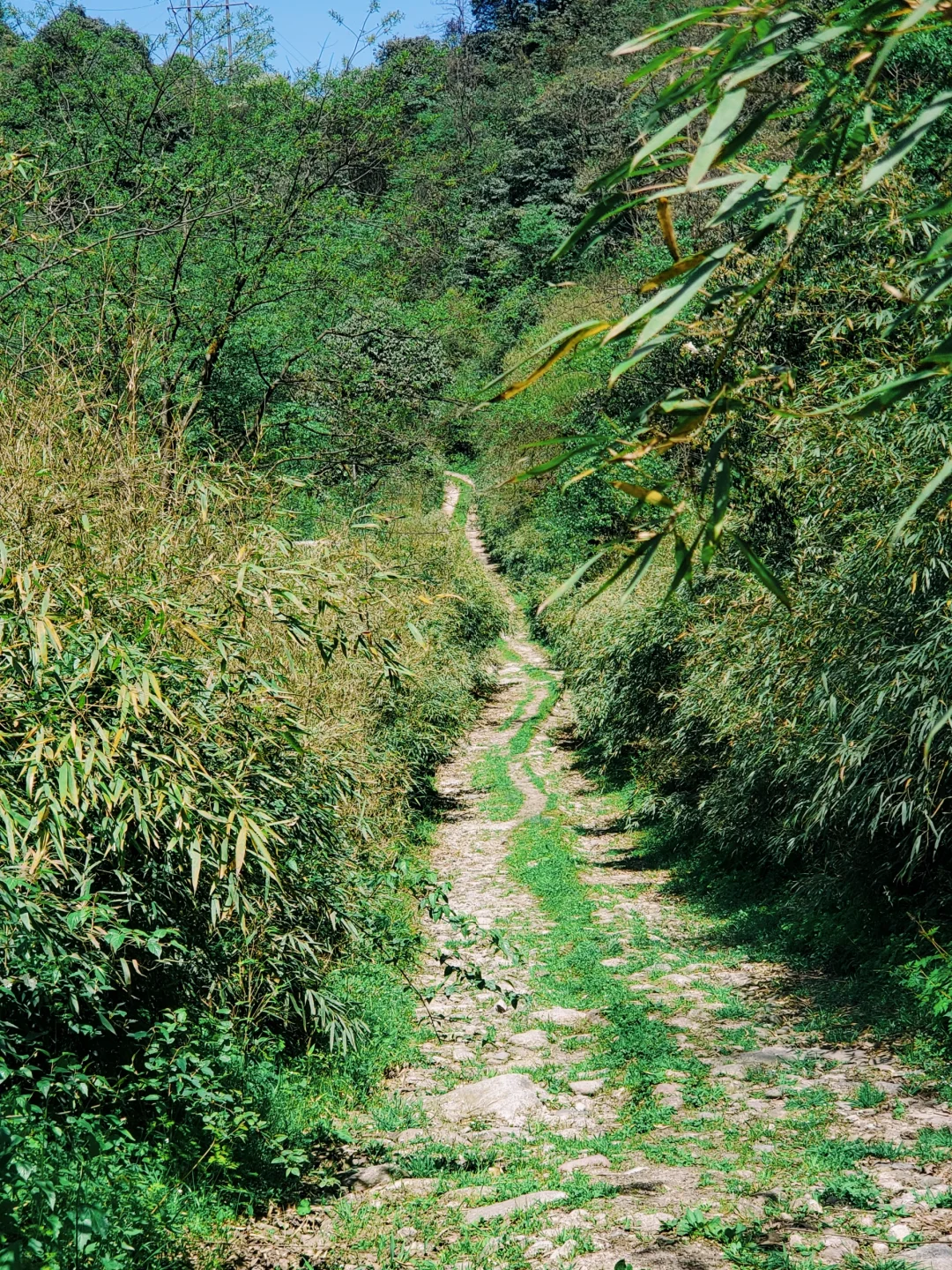 几乎没人的徒步秘境！景色绝美，亲子友好！