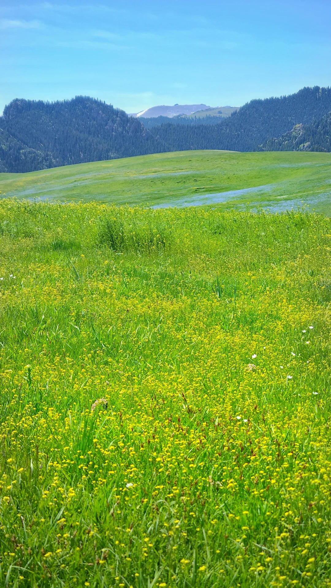 江布拉克的平替：马圈湾