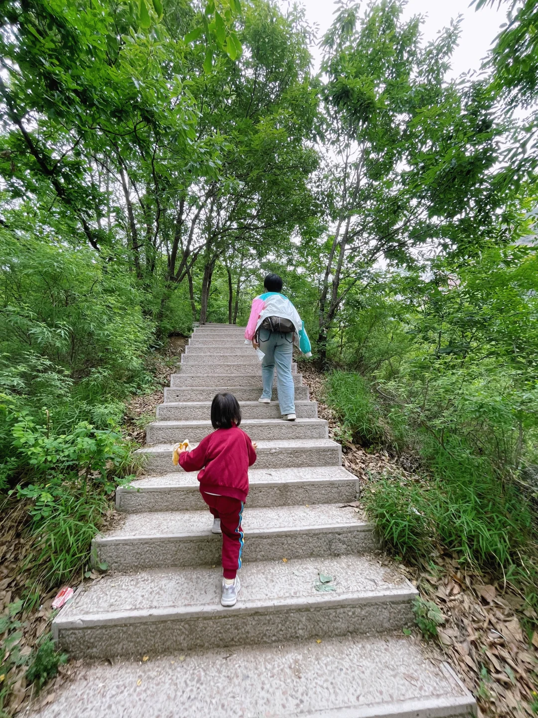 东太行📍你等着，我下次还来‼️