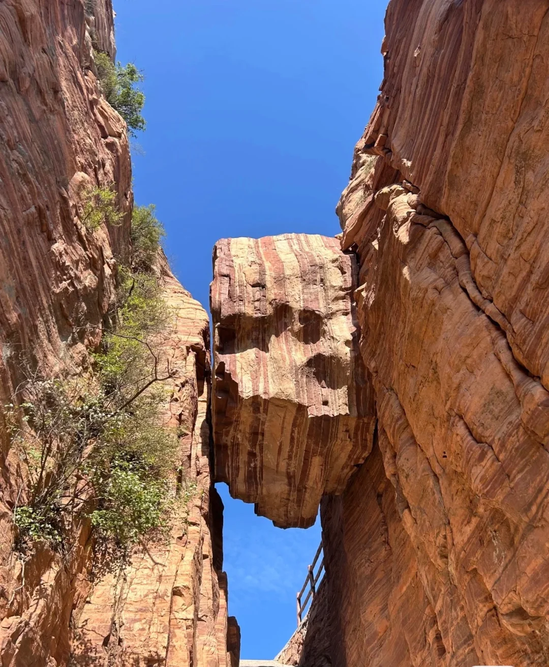 东太行📍你等着，我下次还来‼️