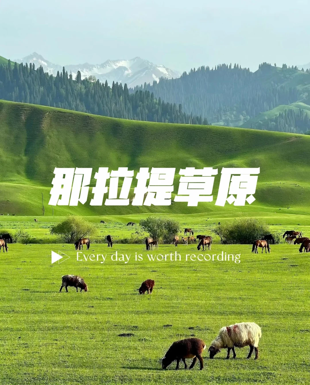 高考后该去哪儿玩？