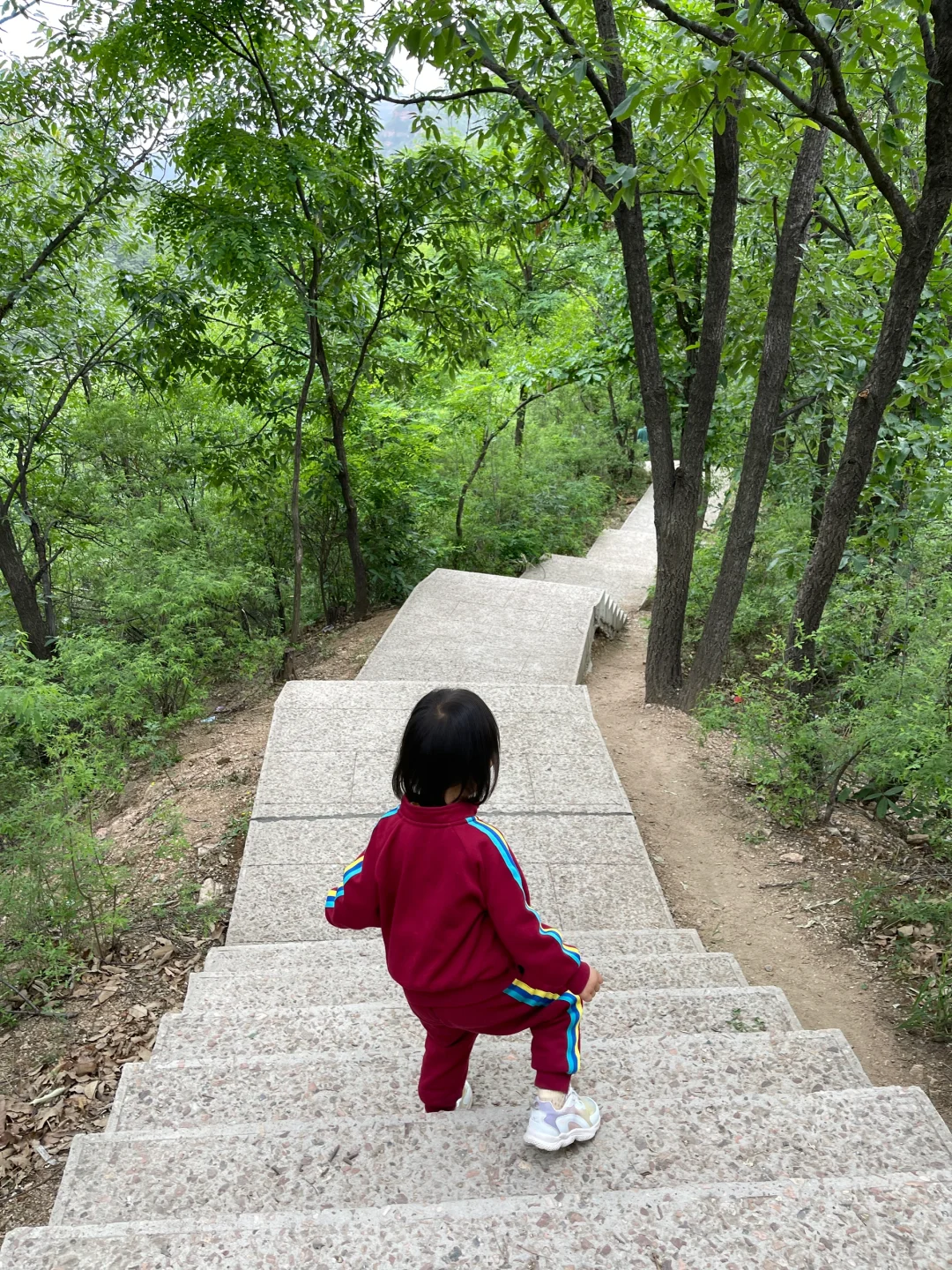 东太行📍你等着，我下次还来‼️