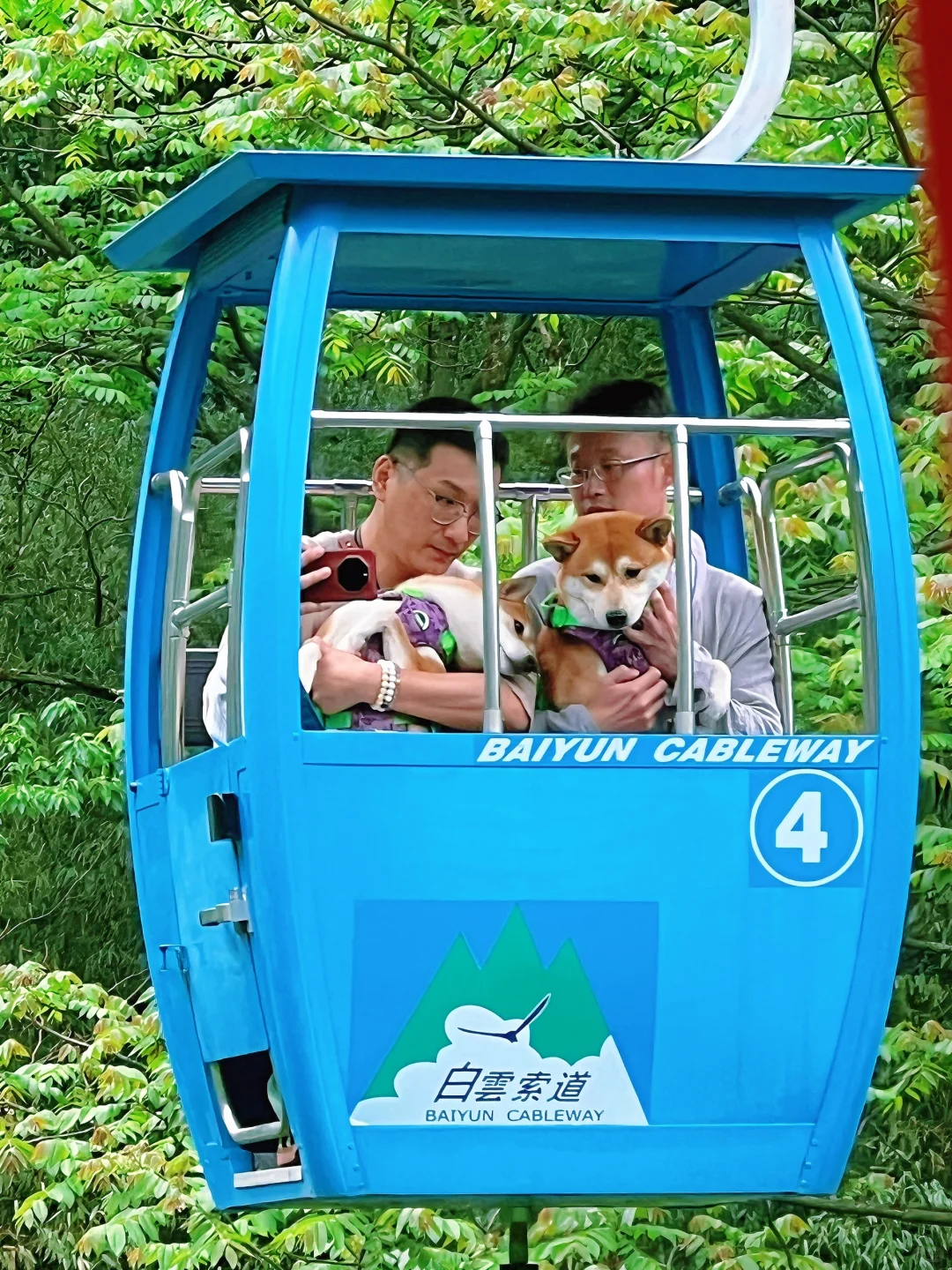 这儿真的太适合逃离了！森林氧吧🌳