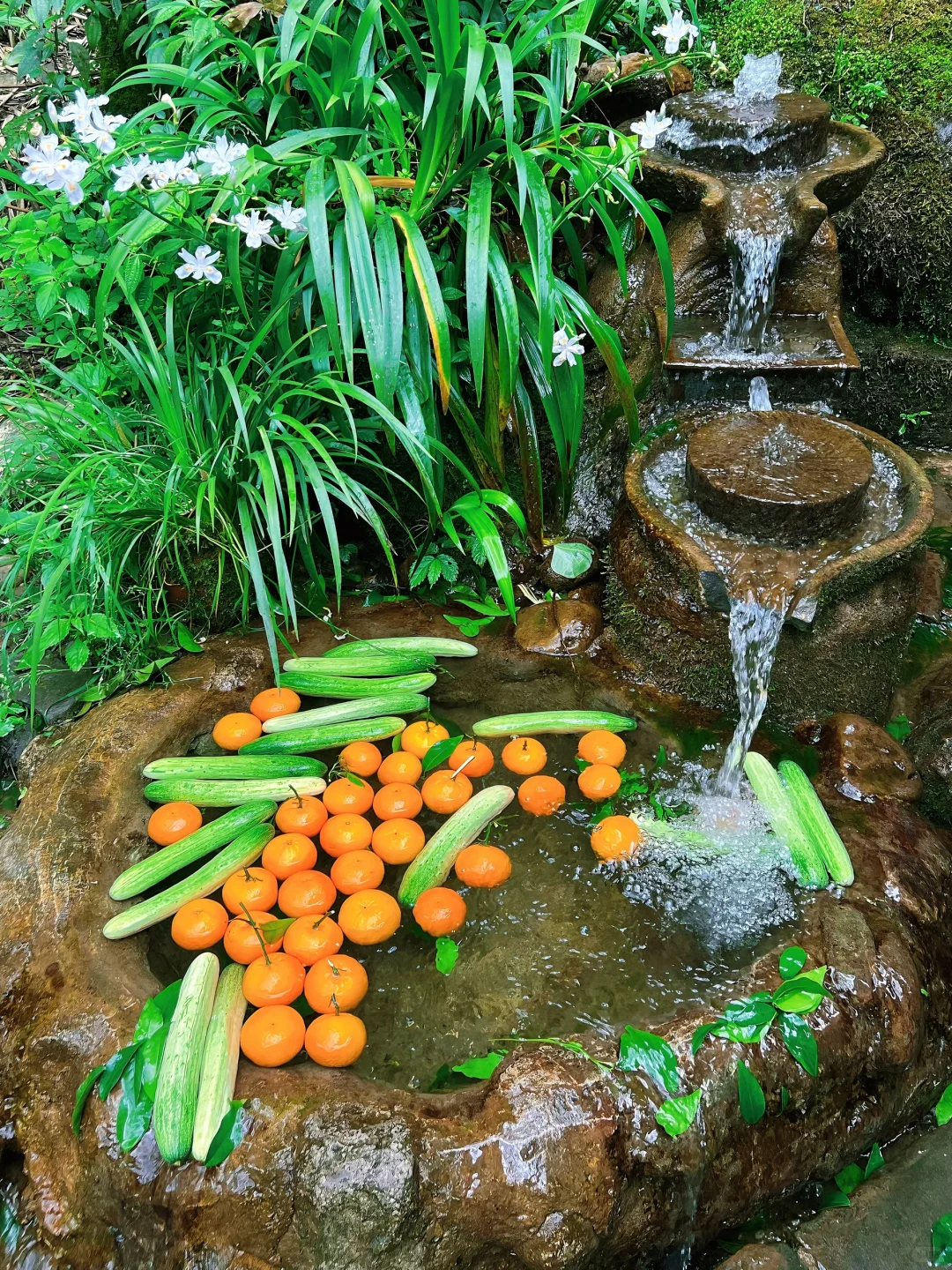 这儿真的太适合逃离了！森林氧吧🌳