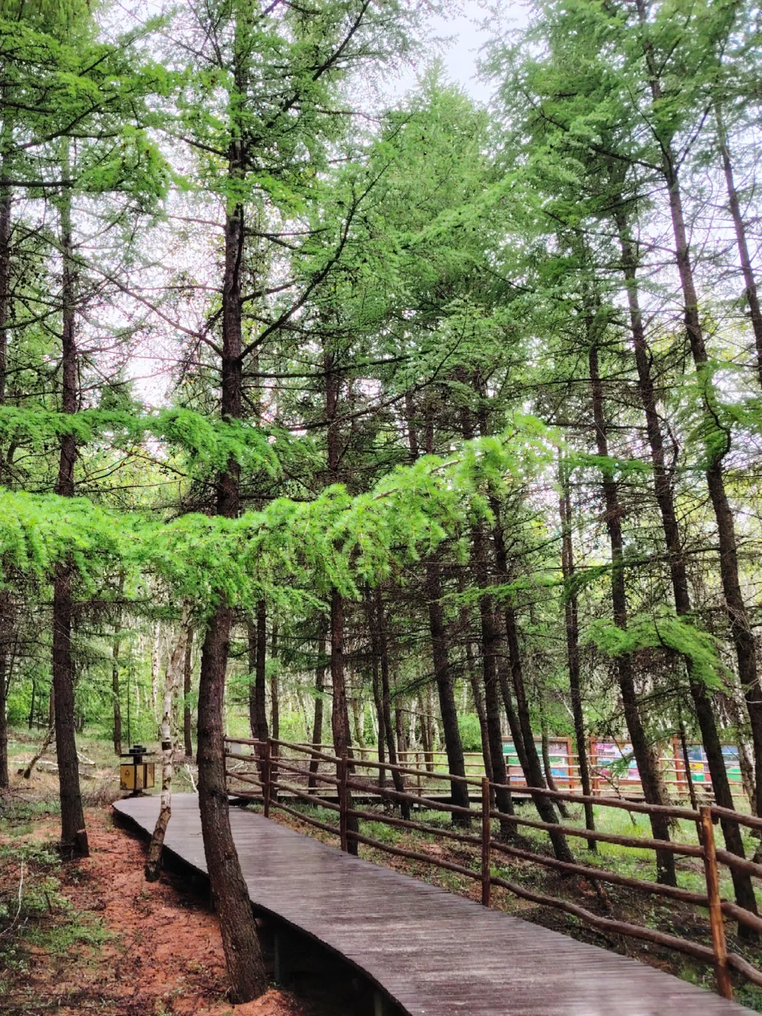 周末都给我去河北!😡2天1晚坝上草原!