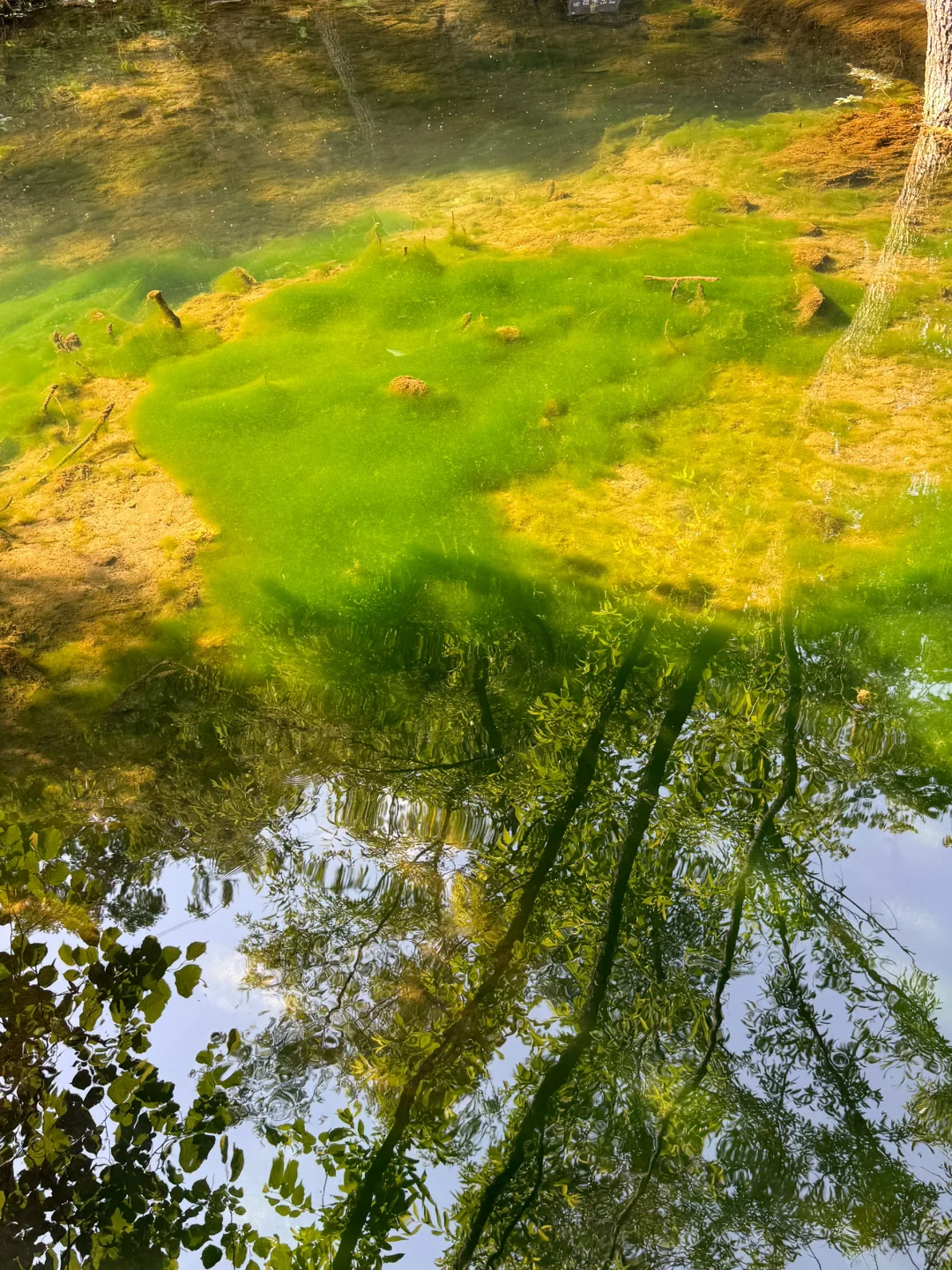 洛阳小众绝美玩水景点!不要再去人挤人啦!