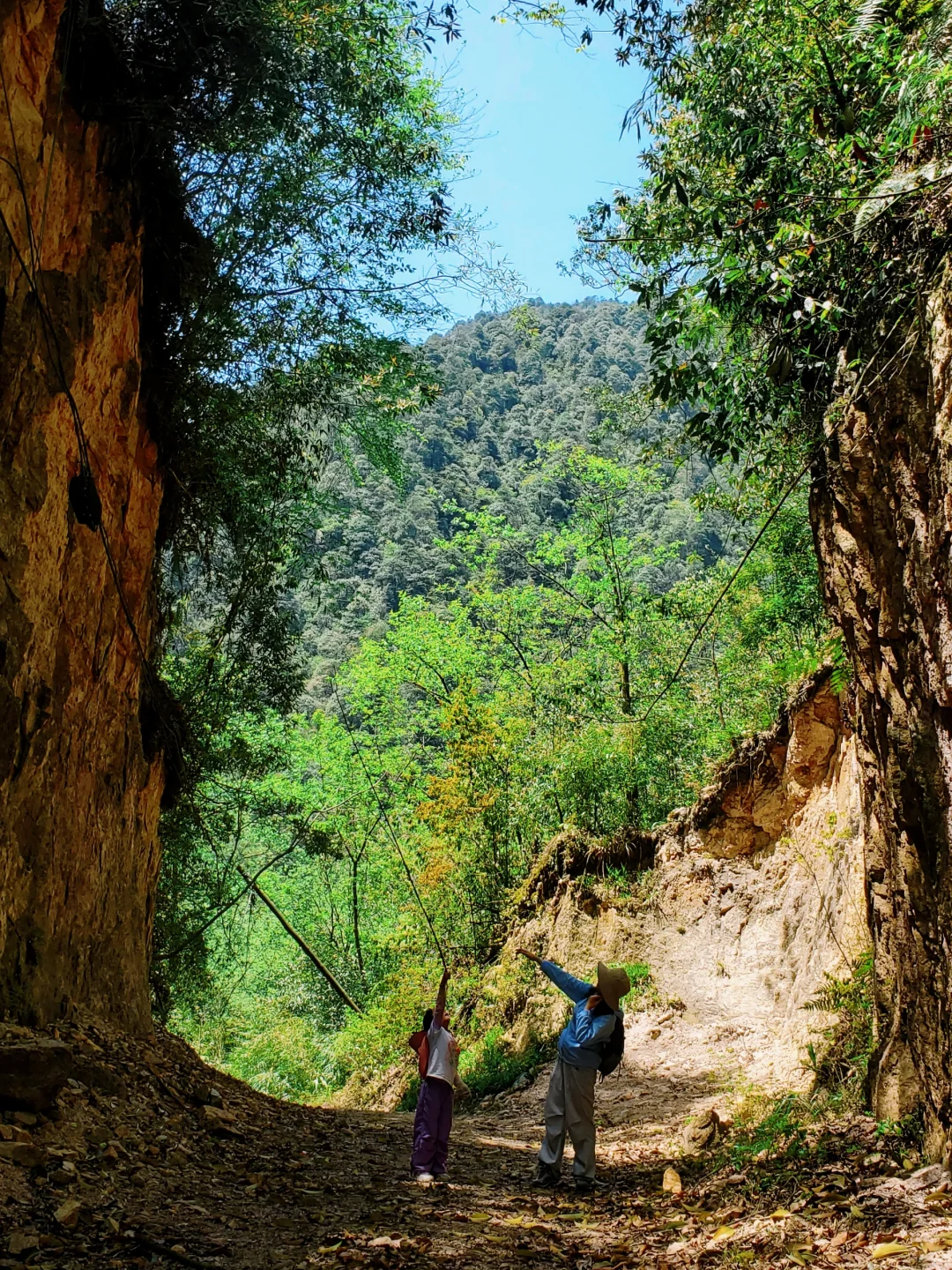 几乎没人的徒步秘境！景色绝美，亲子友好！