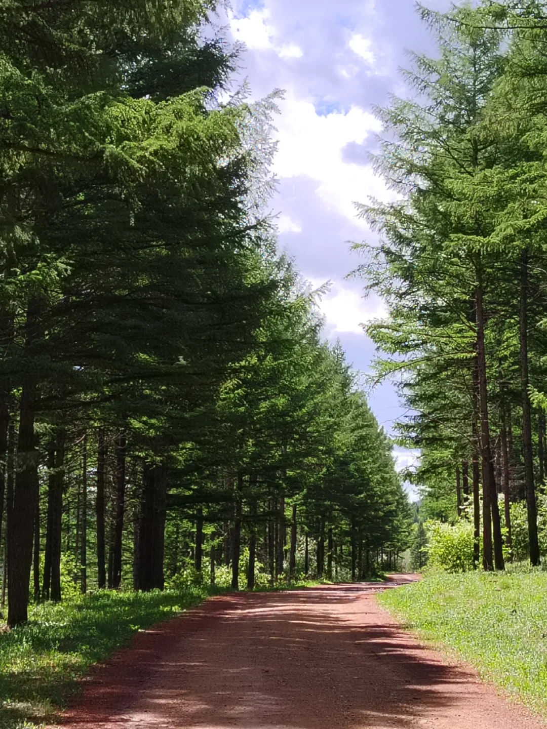 周末都给我去河北!😡2天1晚坝上草原!