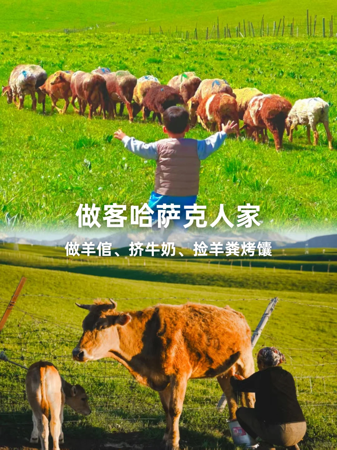 新疆躺平遛娃！属于全家的伊犁真度假时光