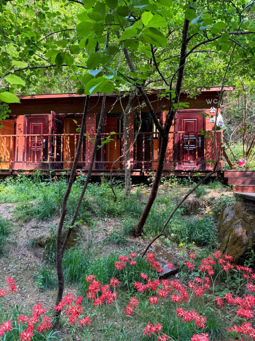 洛阳小众绝美玩水景点!不要再去人挤人啦!